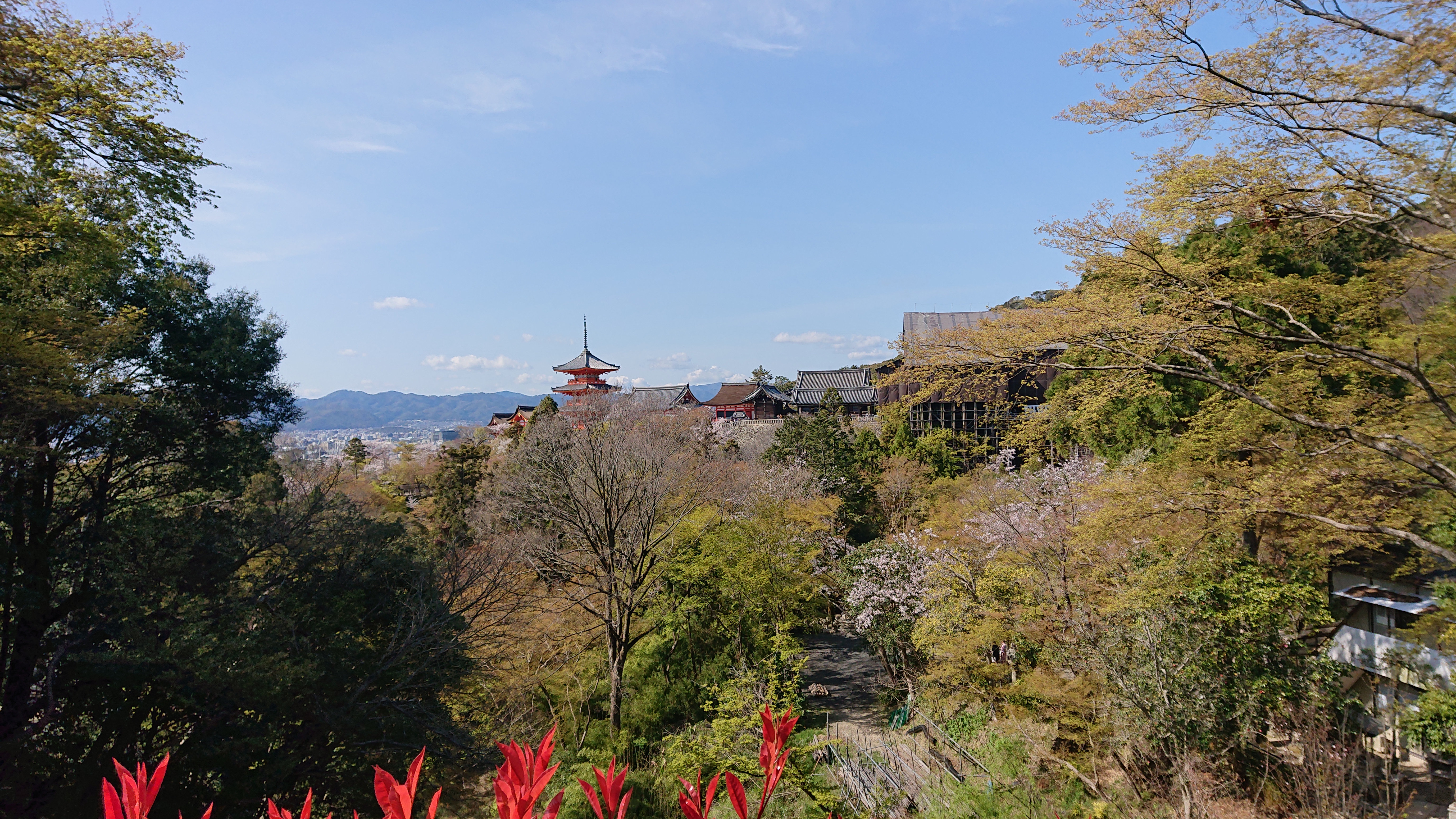 DSC_0025.JPG