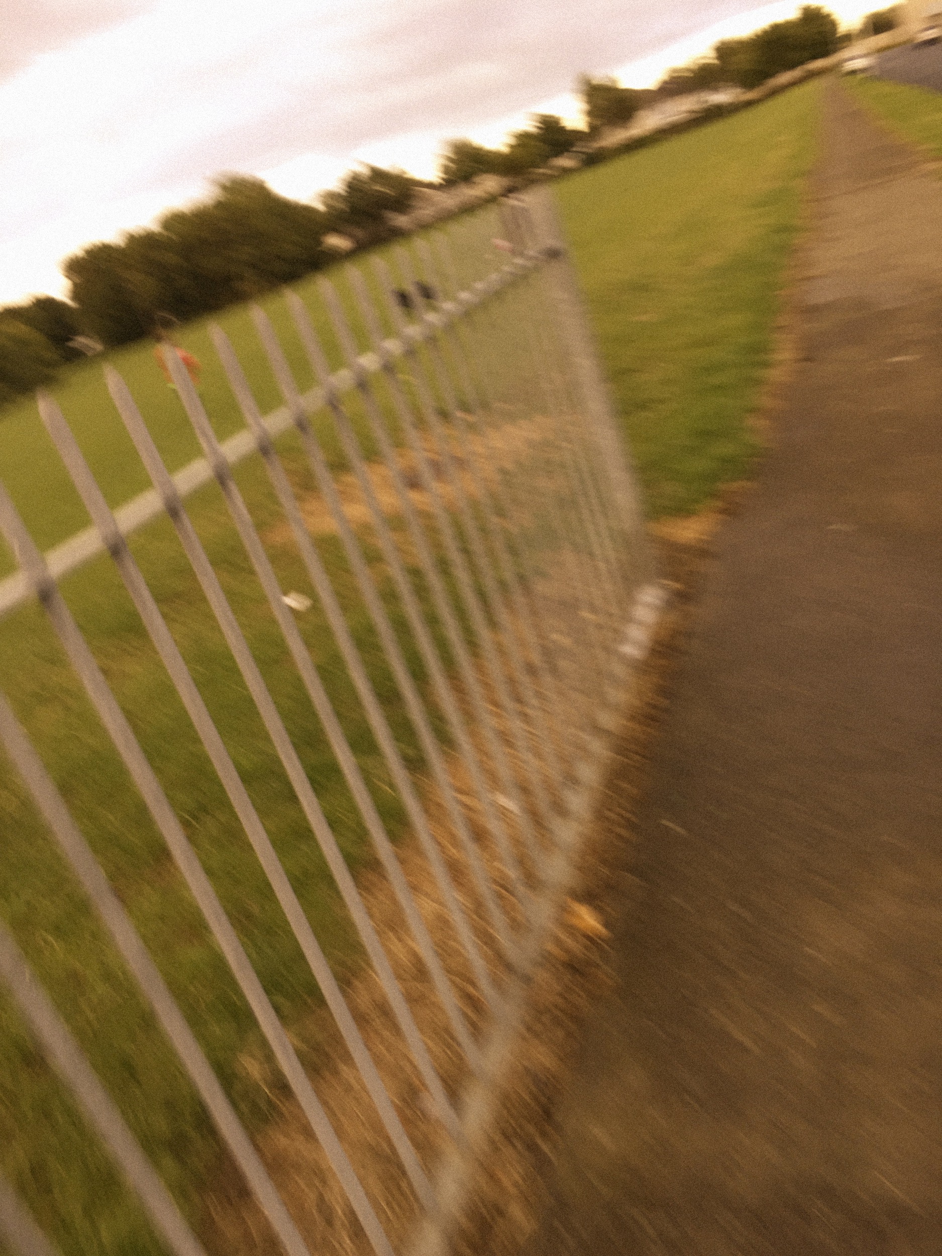 18423AF6-FE3E-4739-8EC2-D6765D742BF8.jpeg