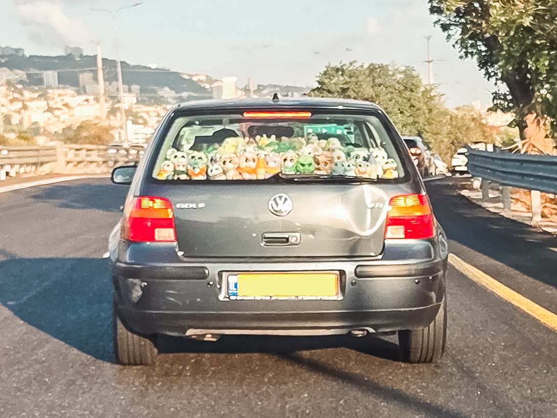 20250916_072346.jpg