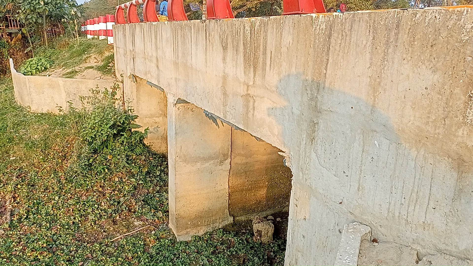 IMG20260207170101.jpg