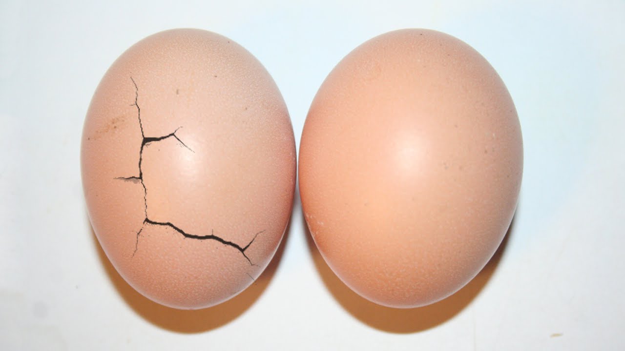 BornChicken.jpg