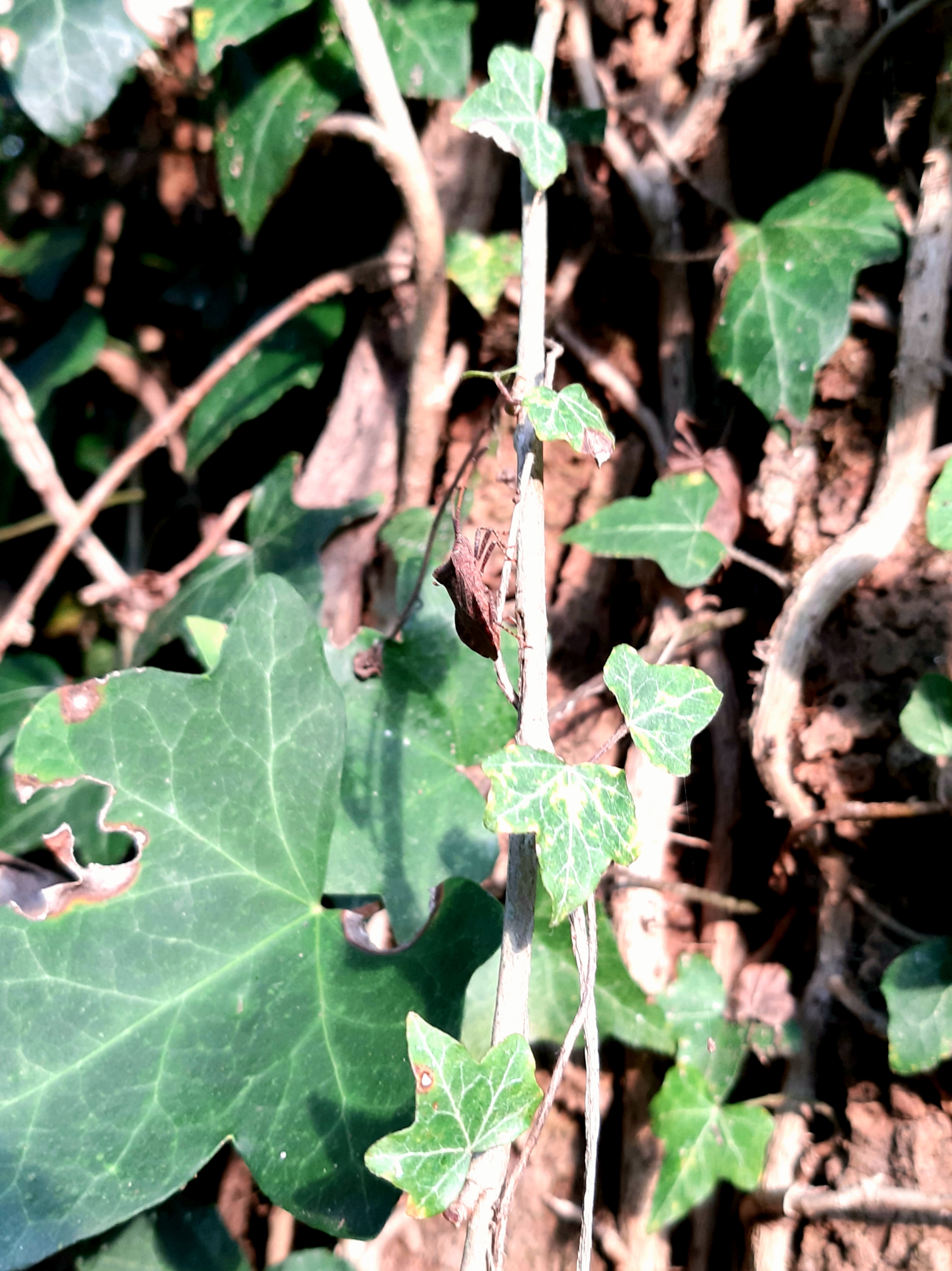20191021_101421.jpg