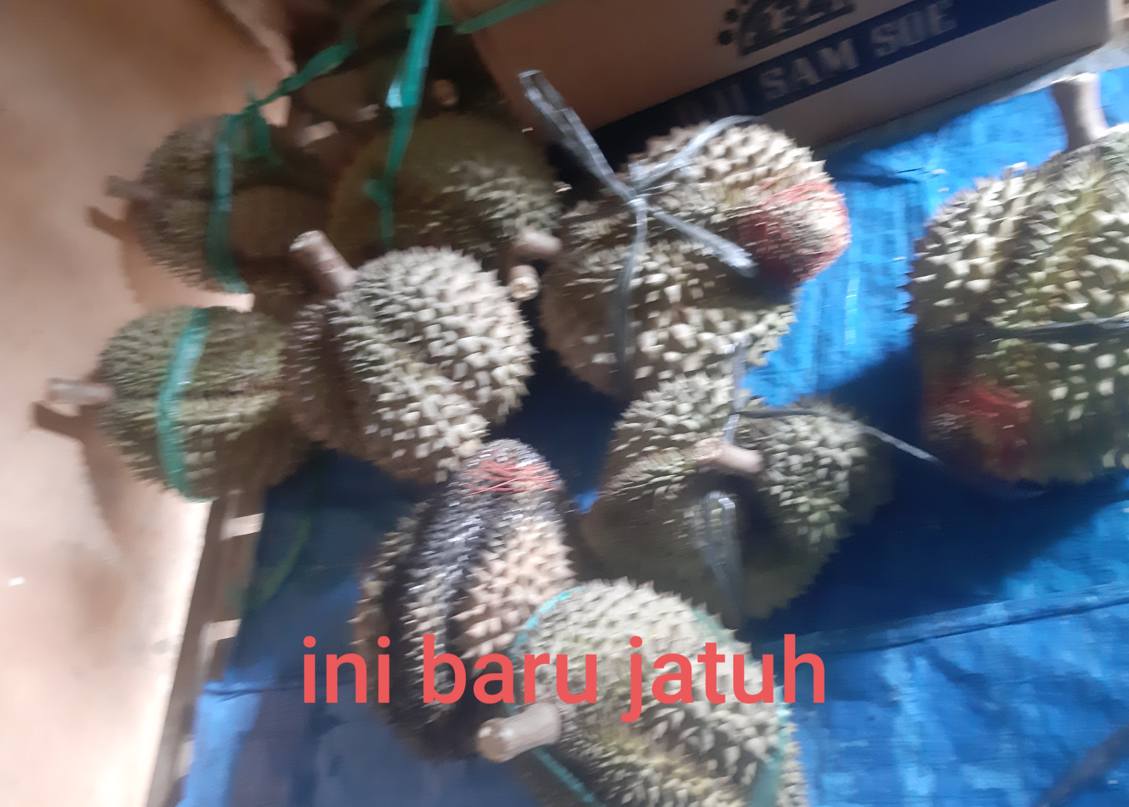 20240824_182125.jpg