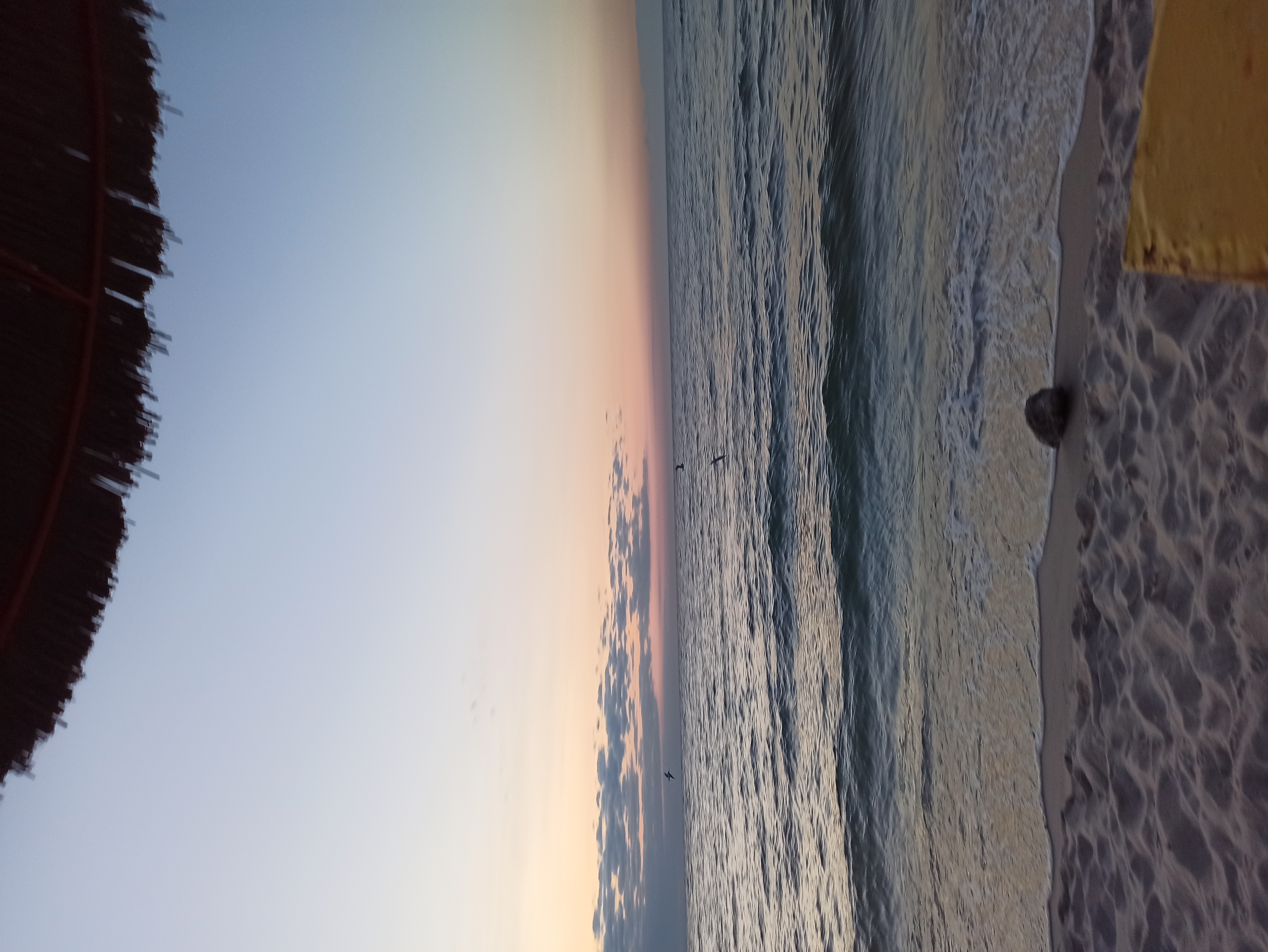 IMG_20200815_051836.jpg