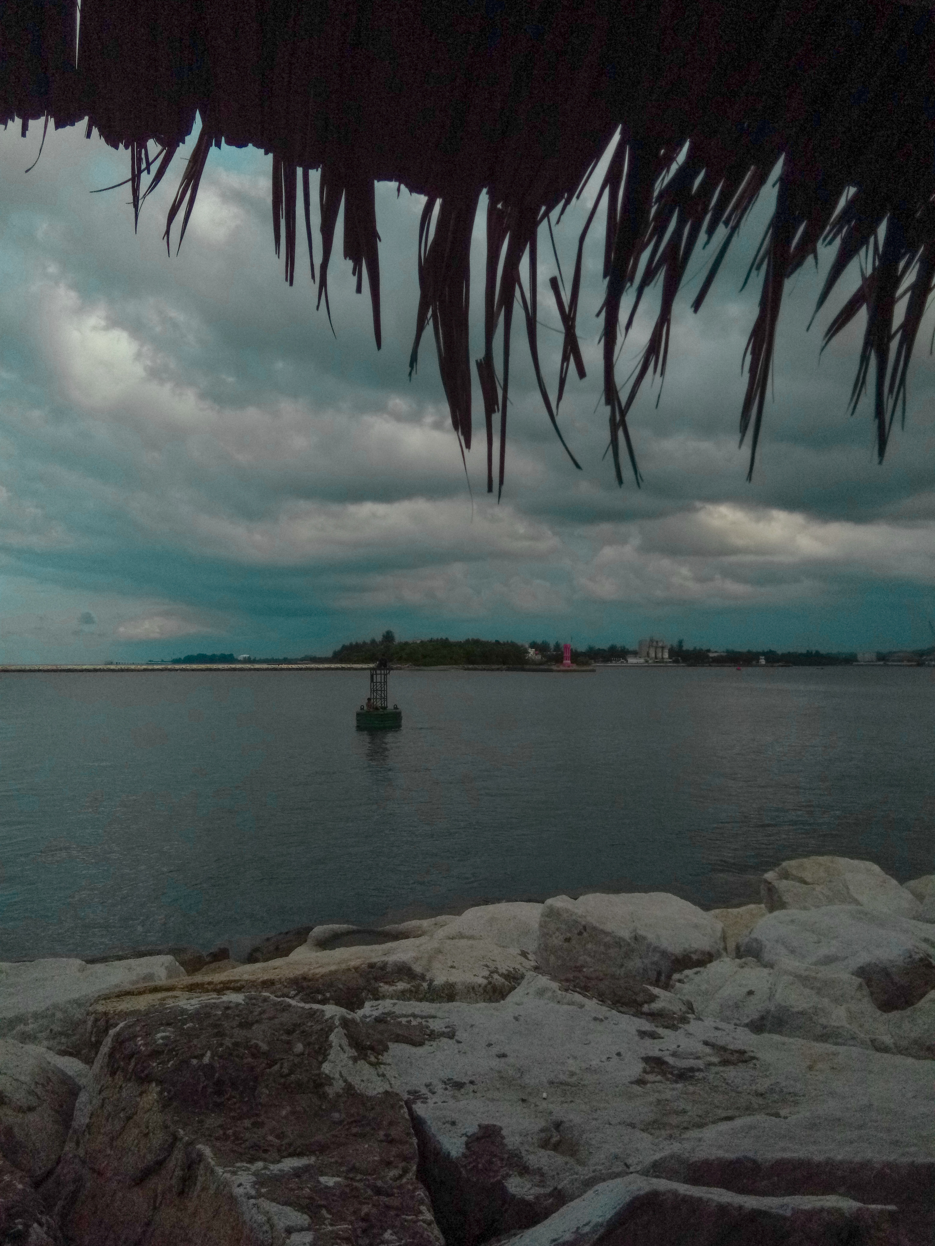 LRM_20210912_163143.jpg