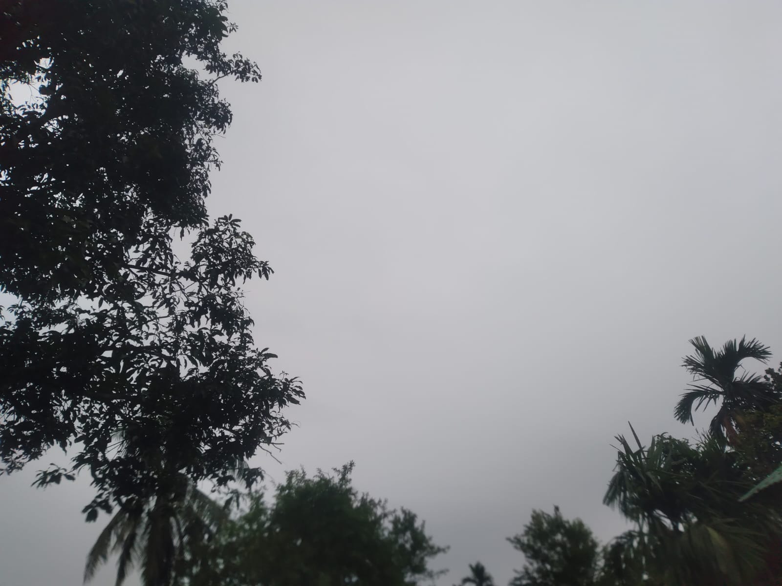 40135.jpg