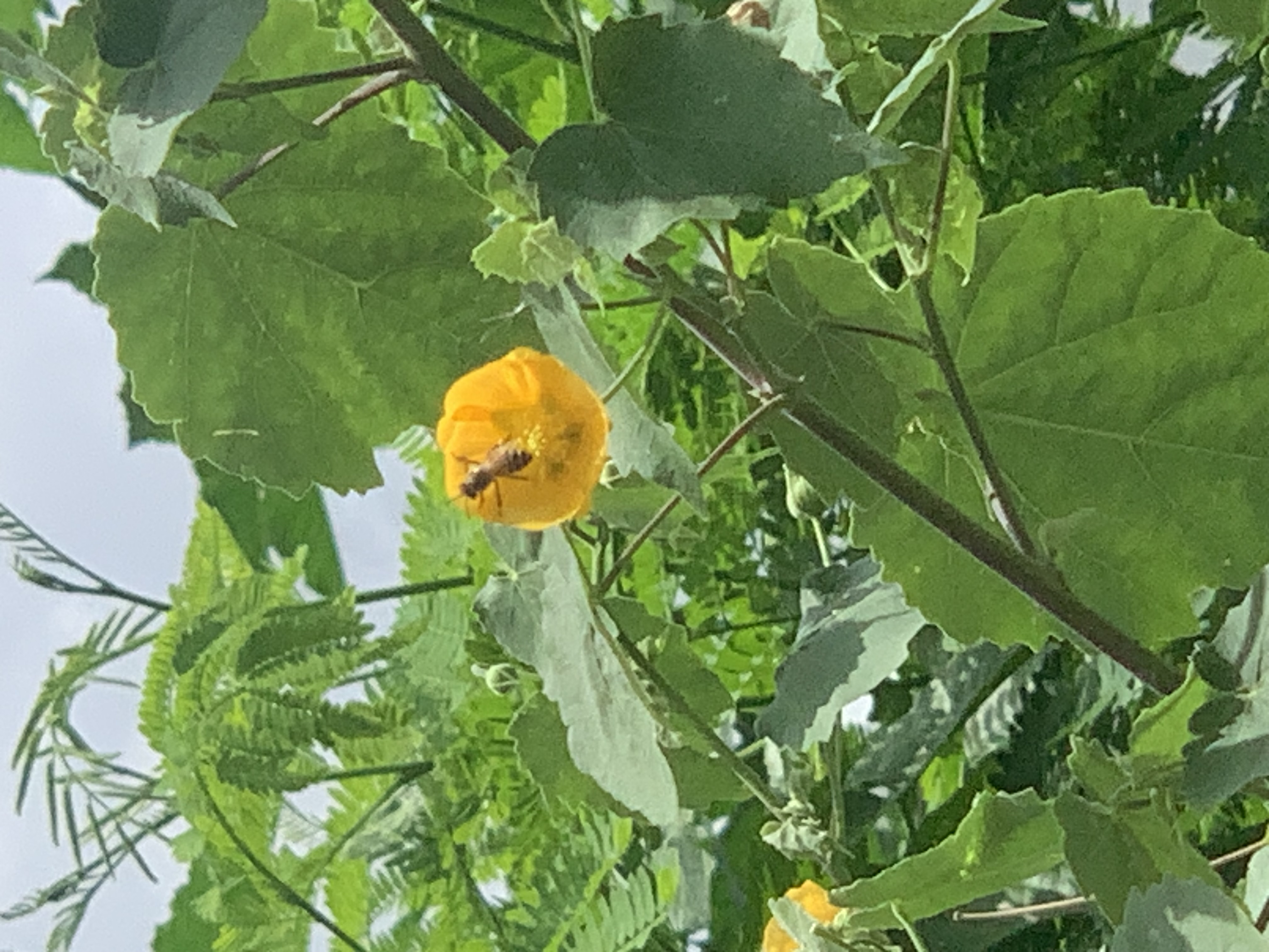 nature612.jpg