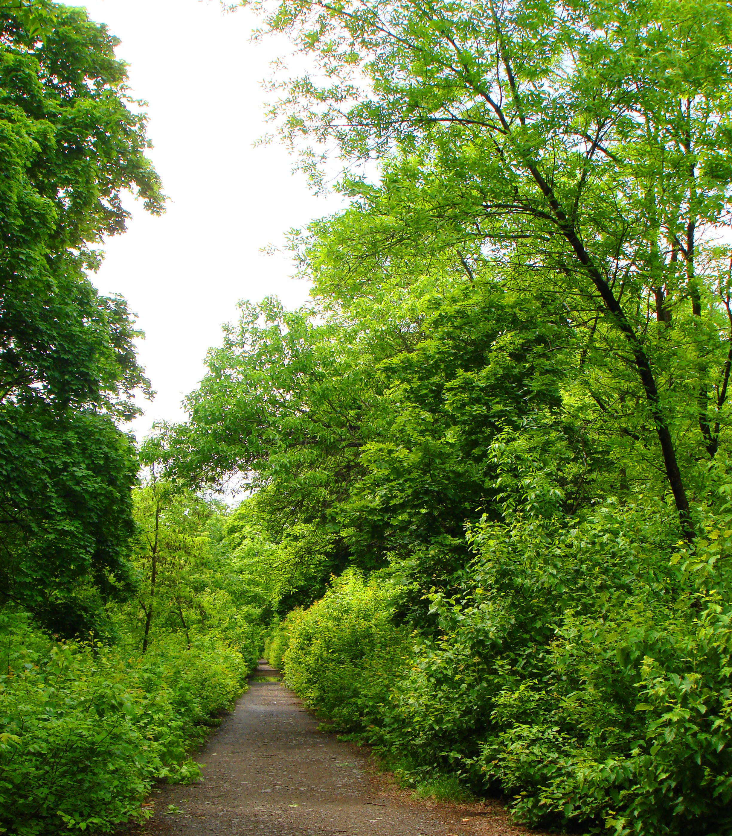 DSC02202-2222222.jpg