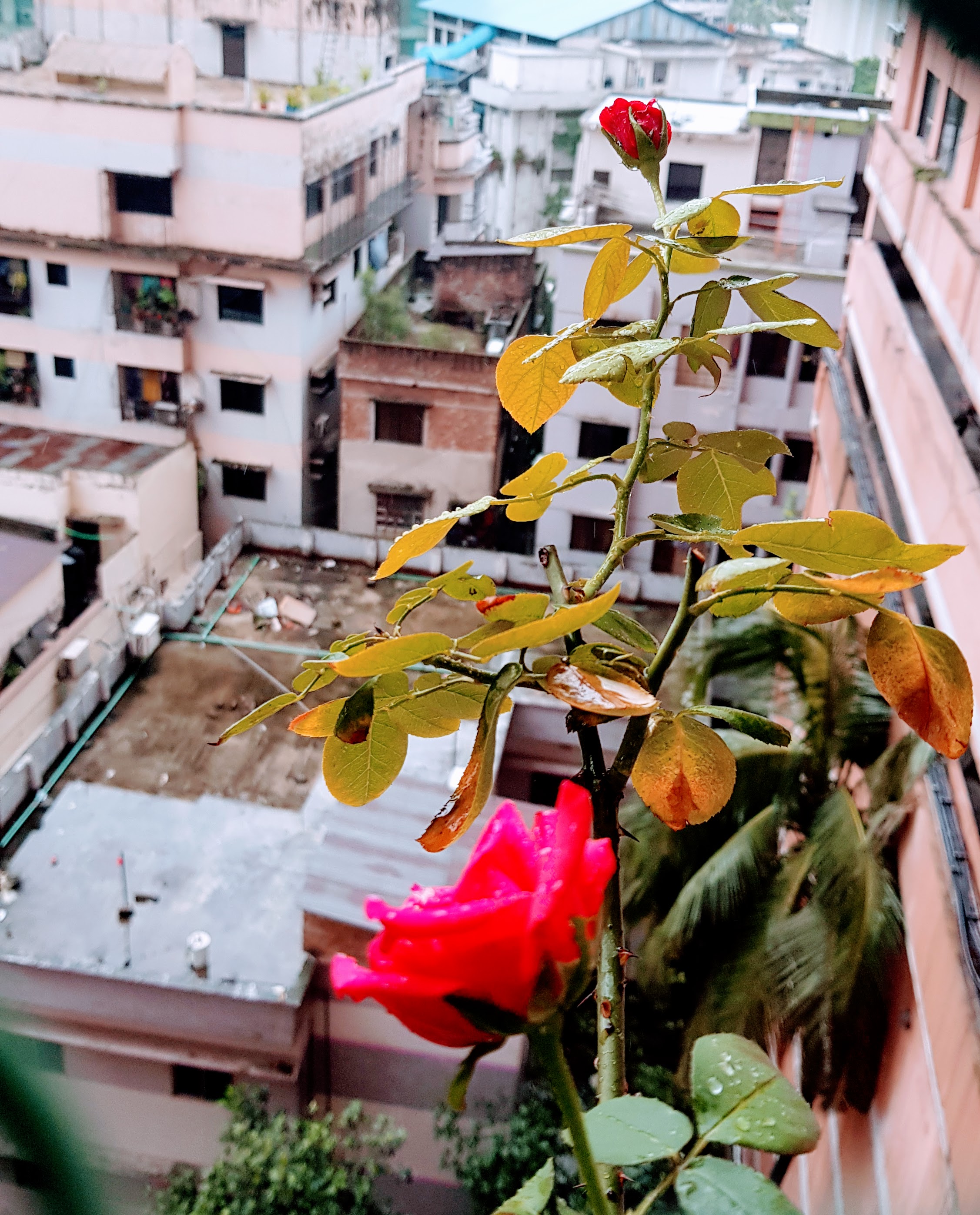 20220814_163318.jpg