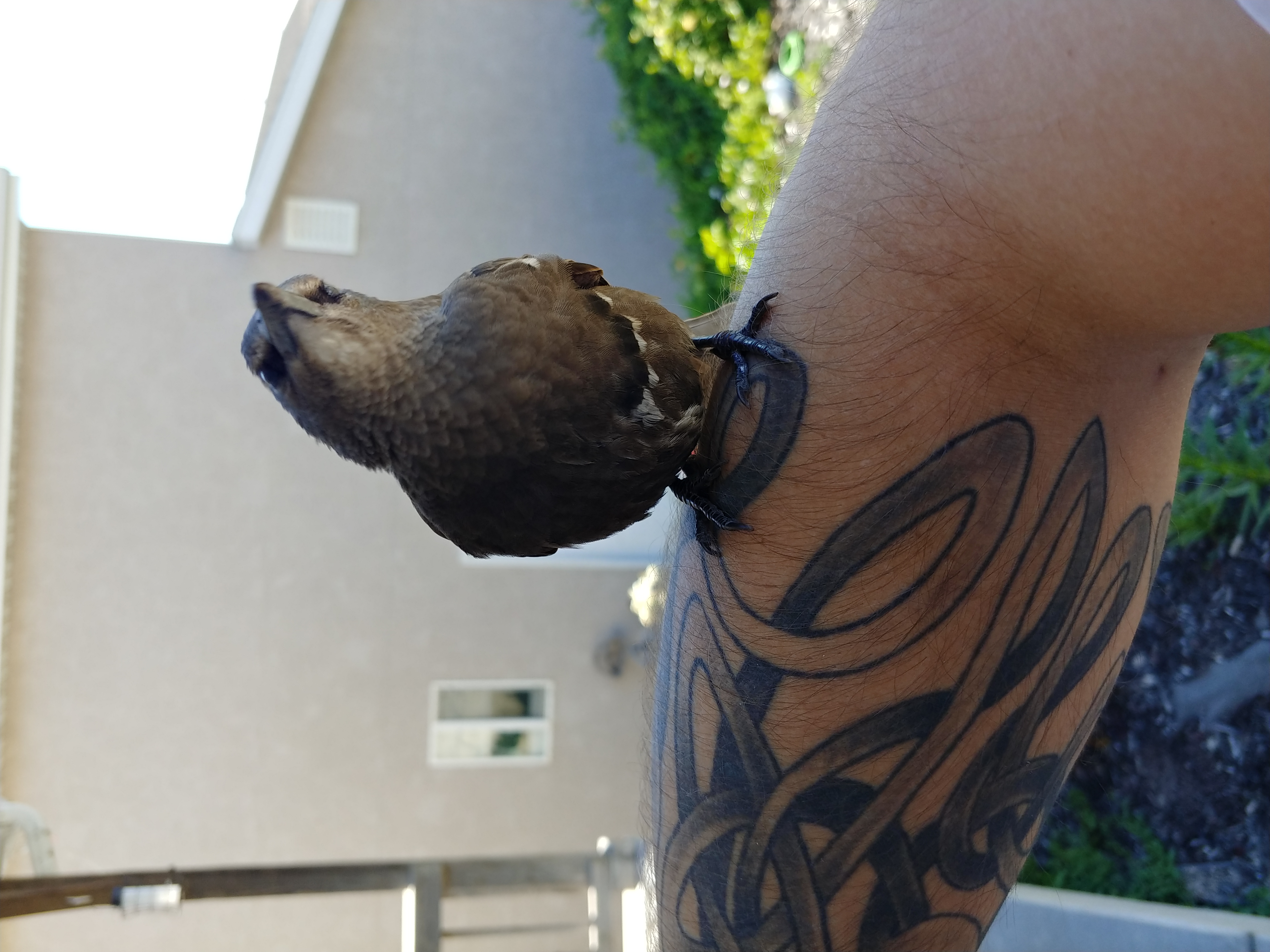 20180621_095843_HDR.jpg