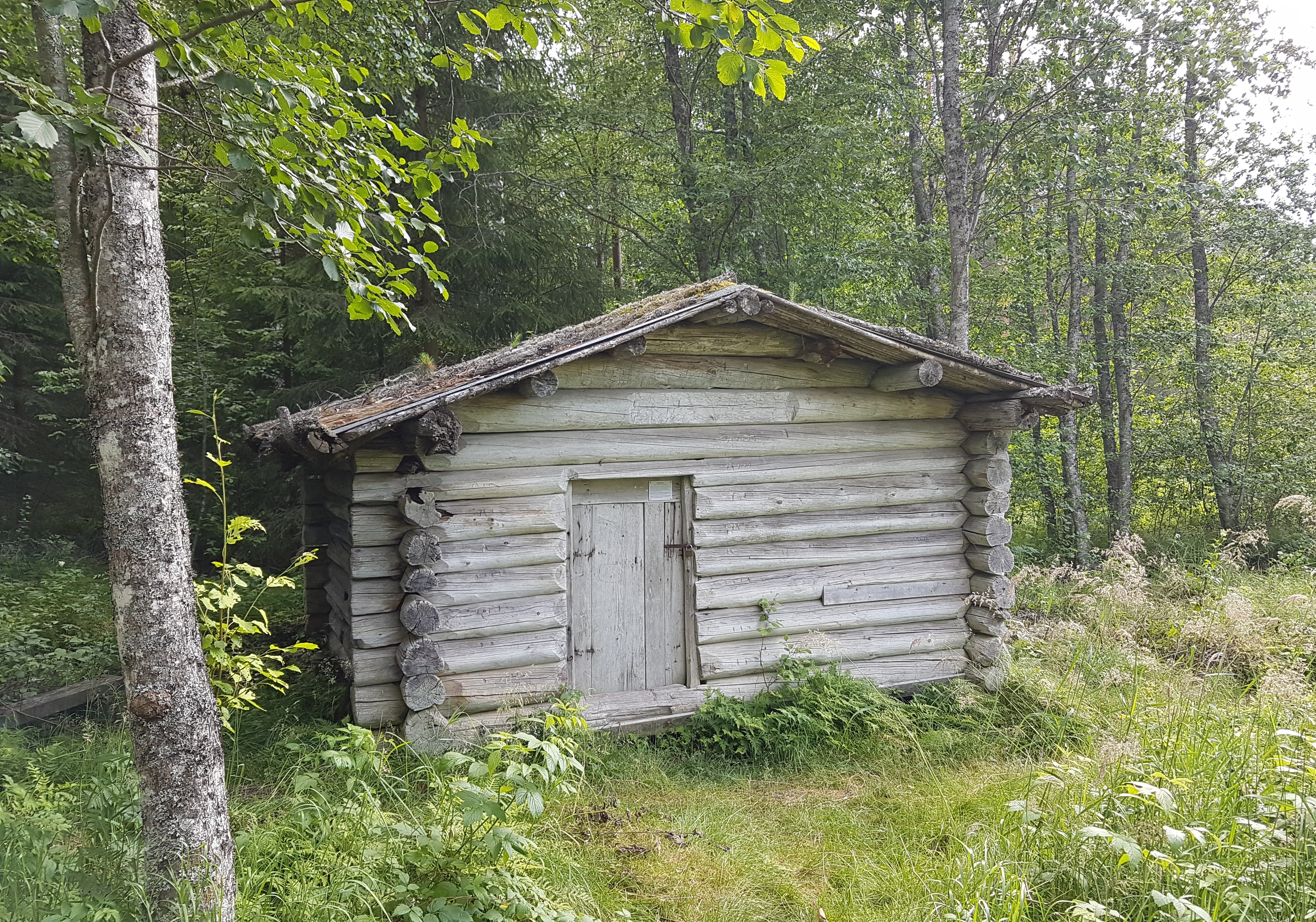 20220718_163341.jpg