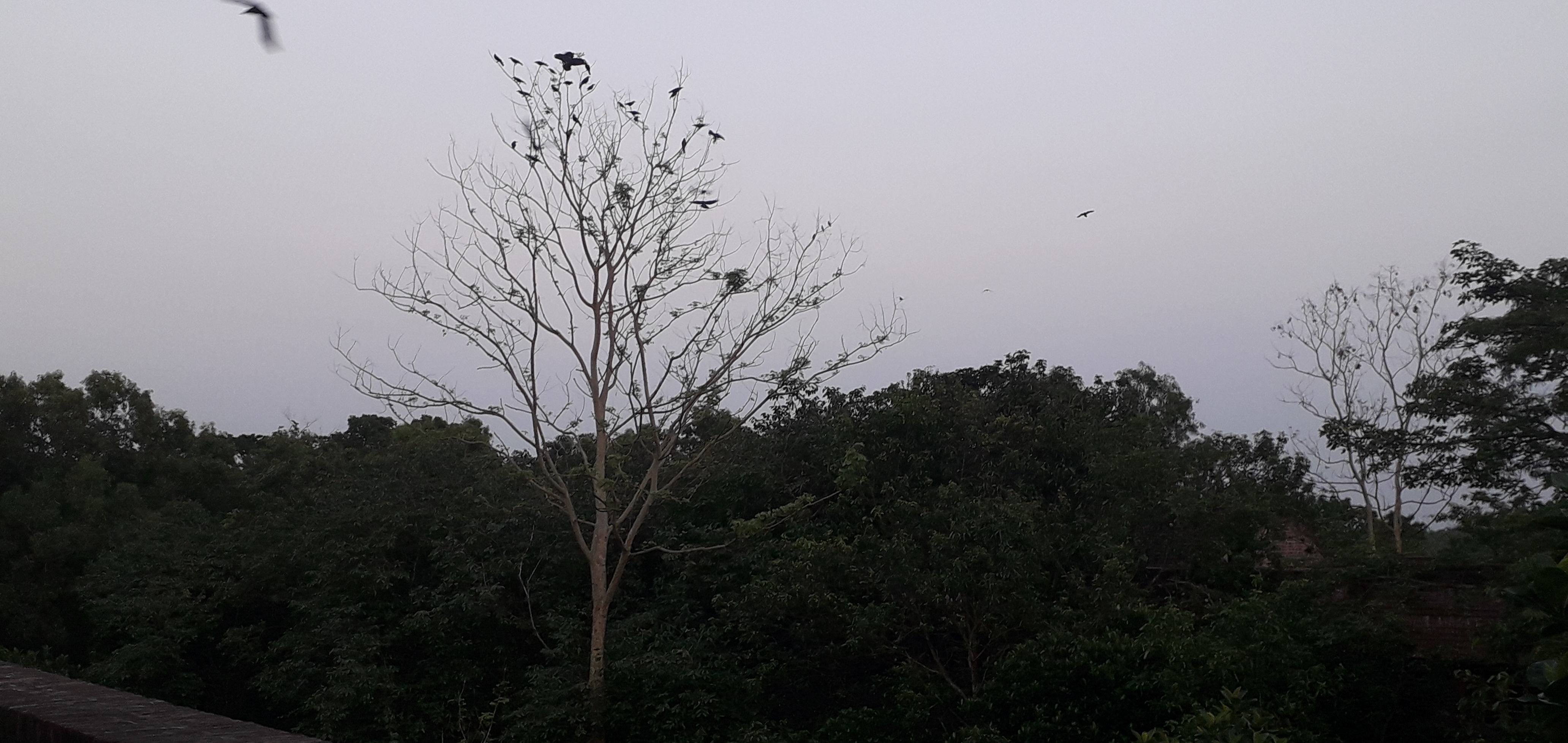20190604_185206.jpg