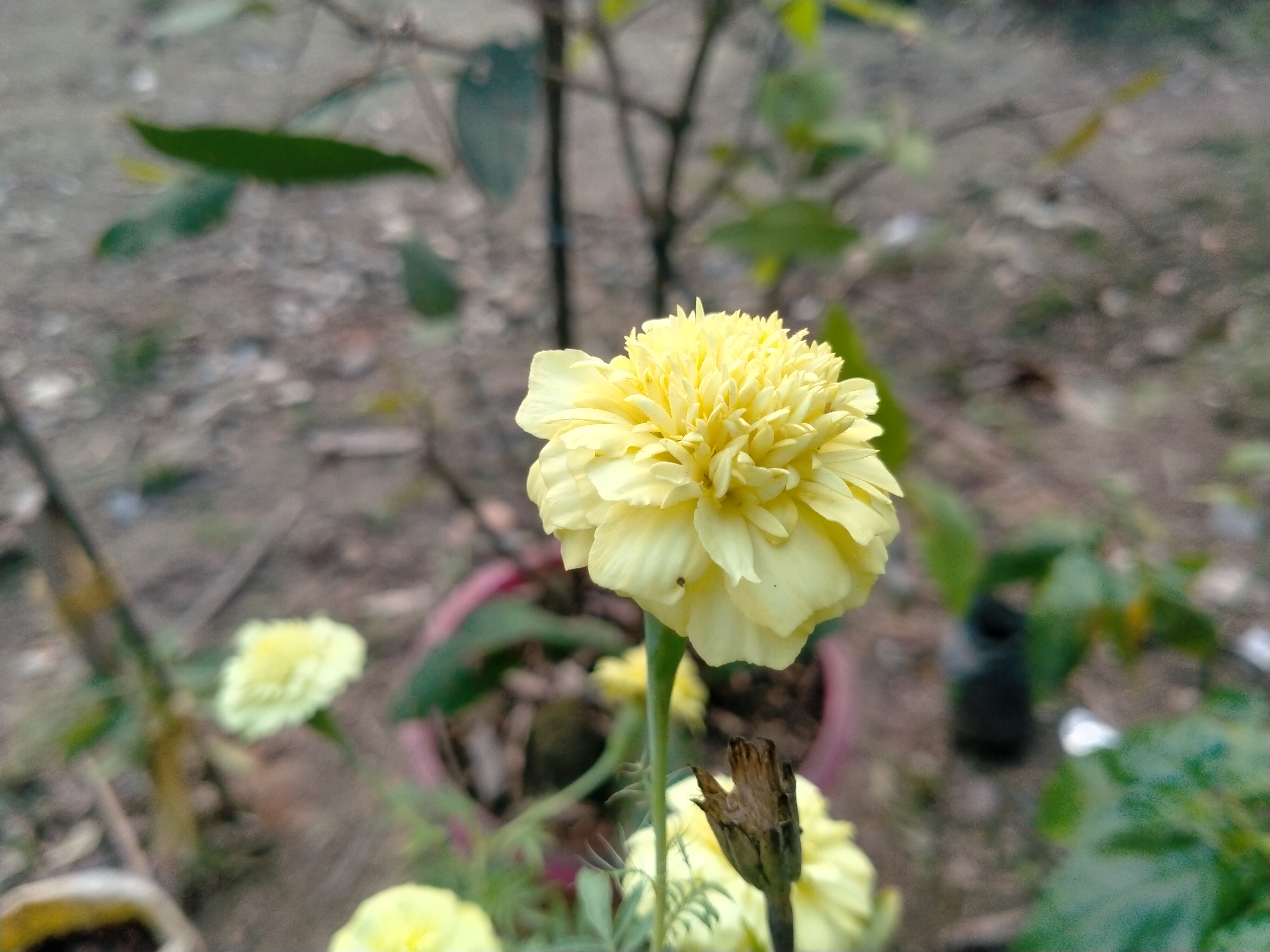 IMG20250327180632.jpg