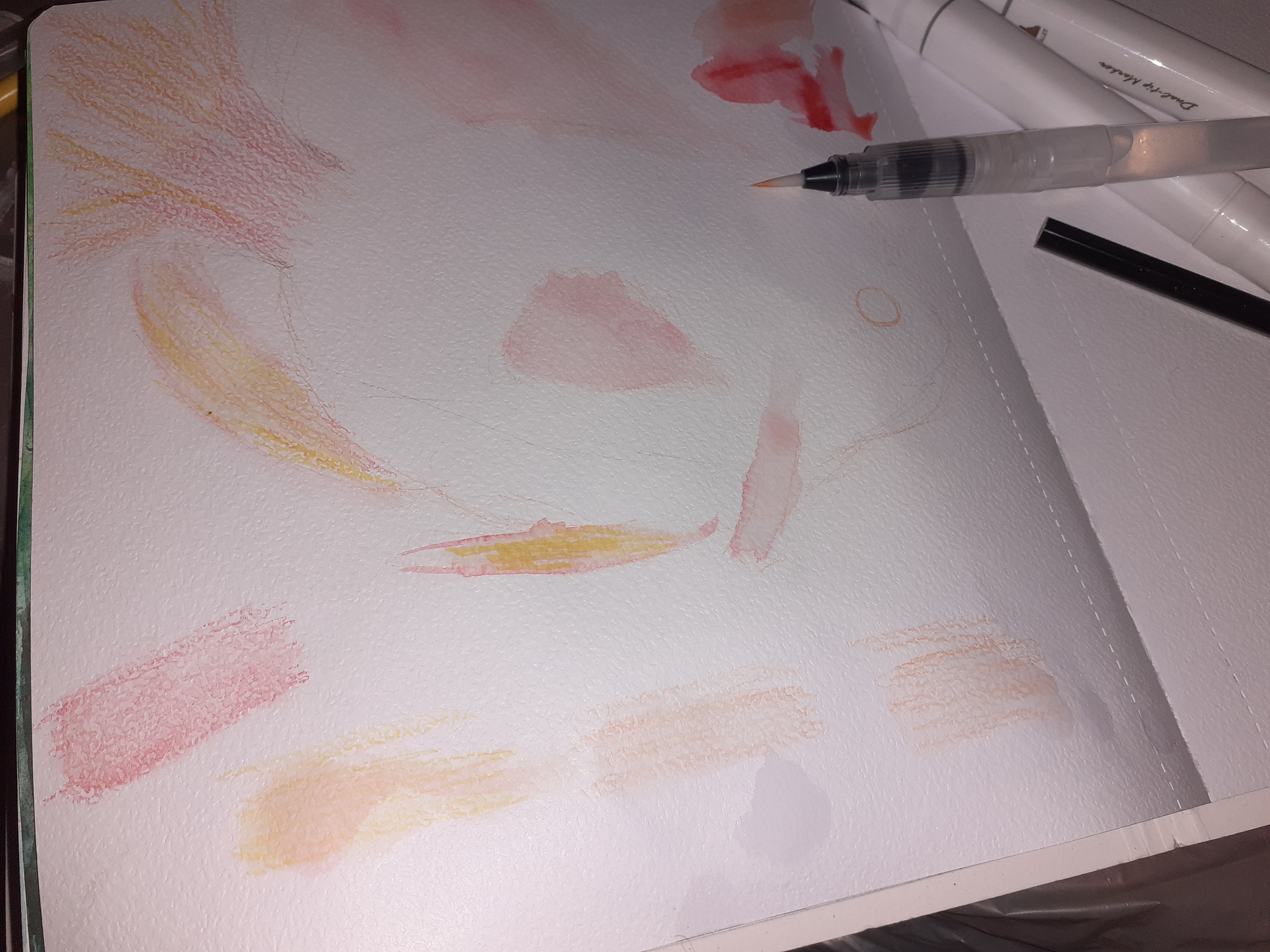 20260122_115913.jpg