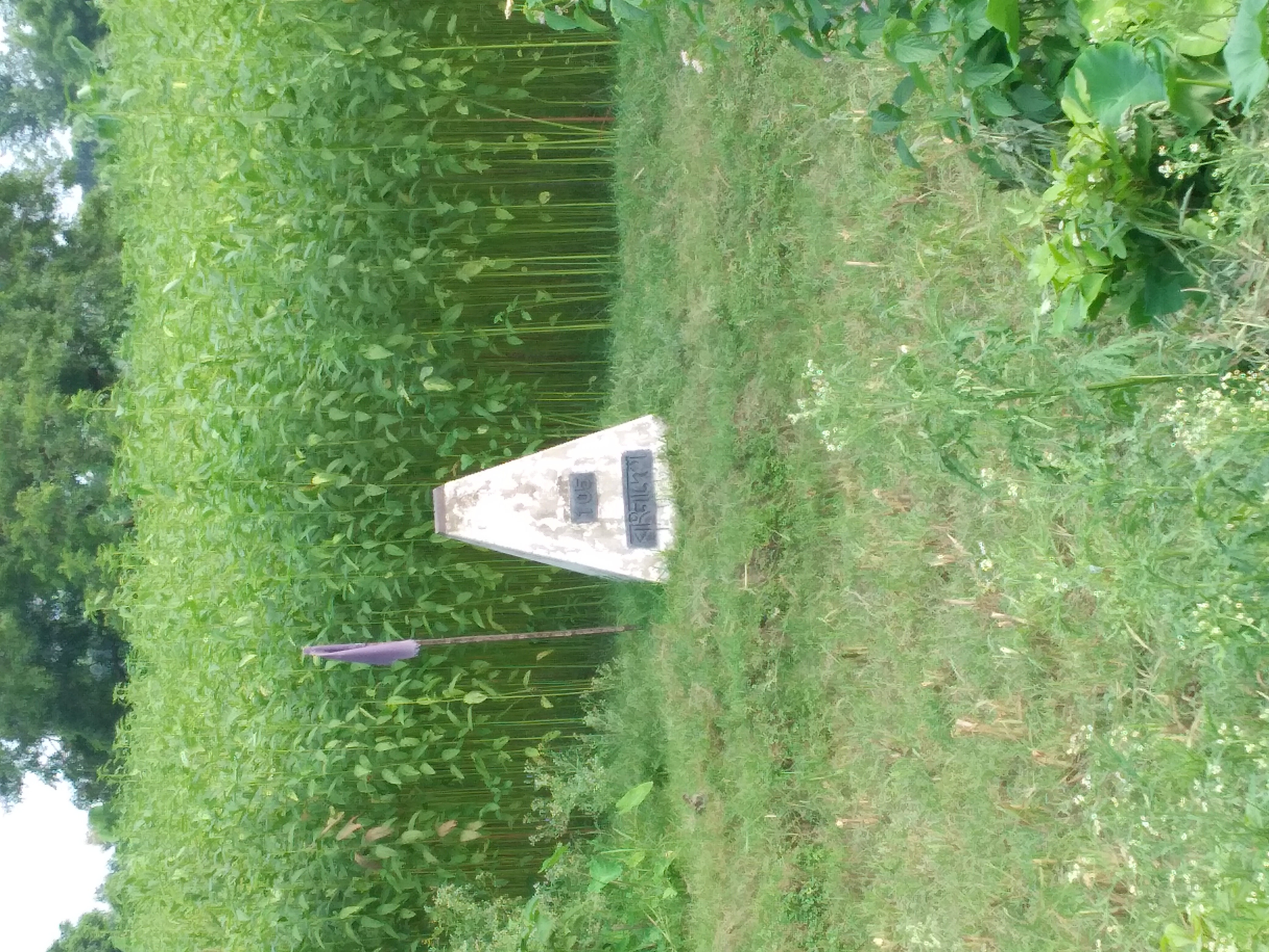 20210721_164139.jpg