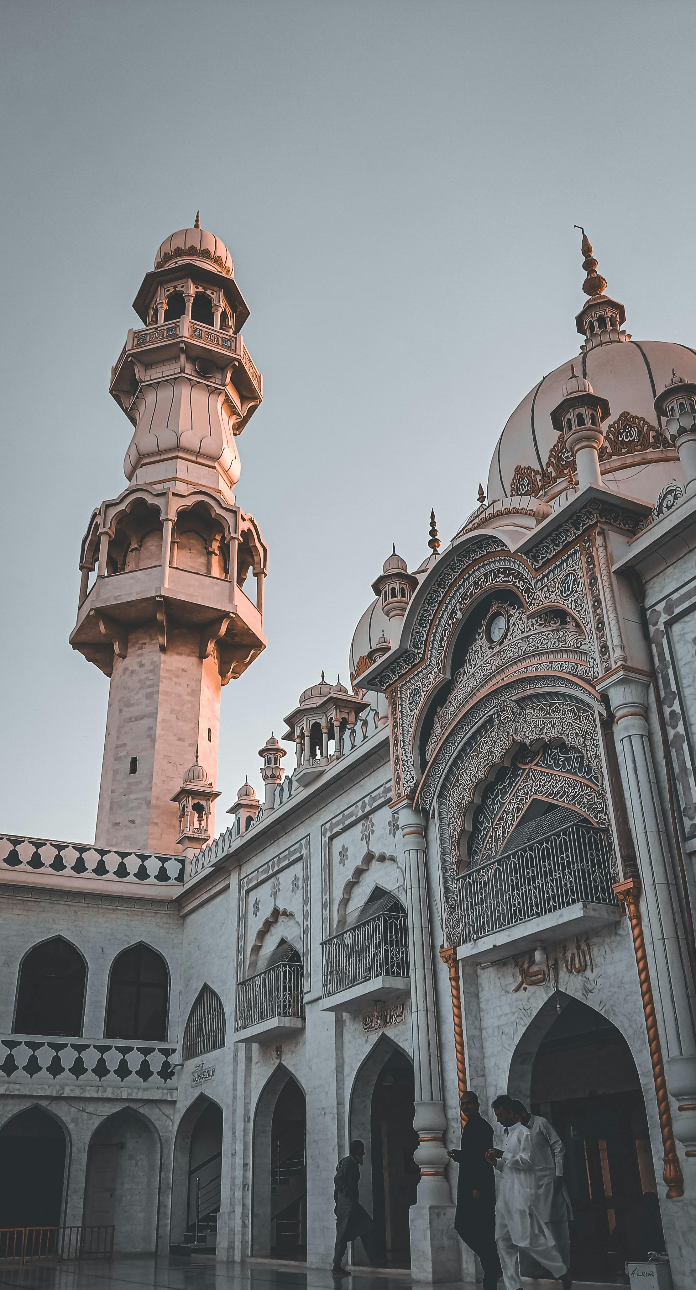 pexels-taha-elahi-7983471.jpg