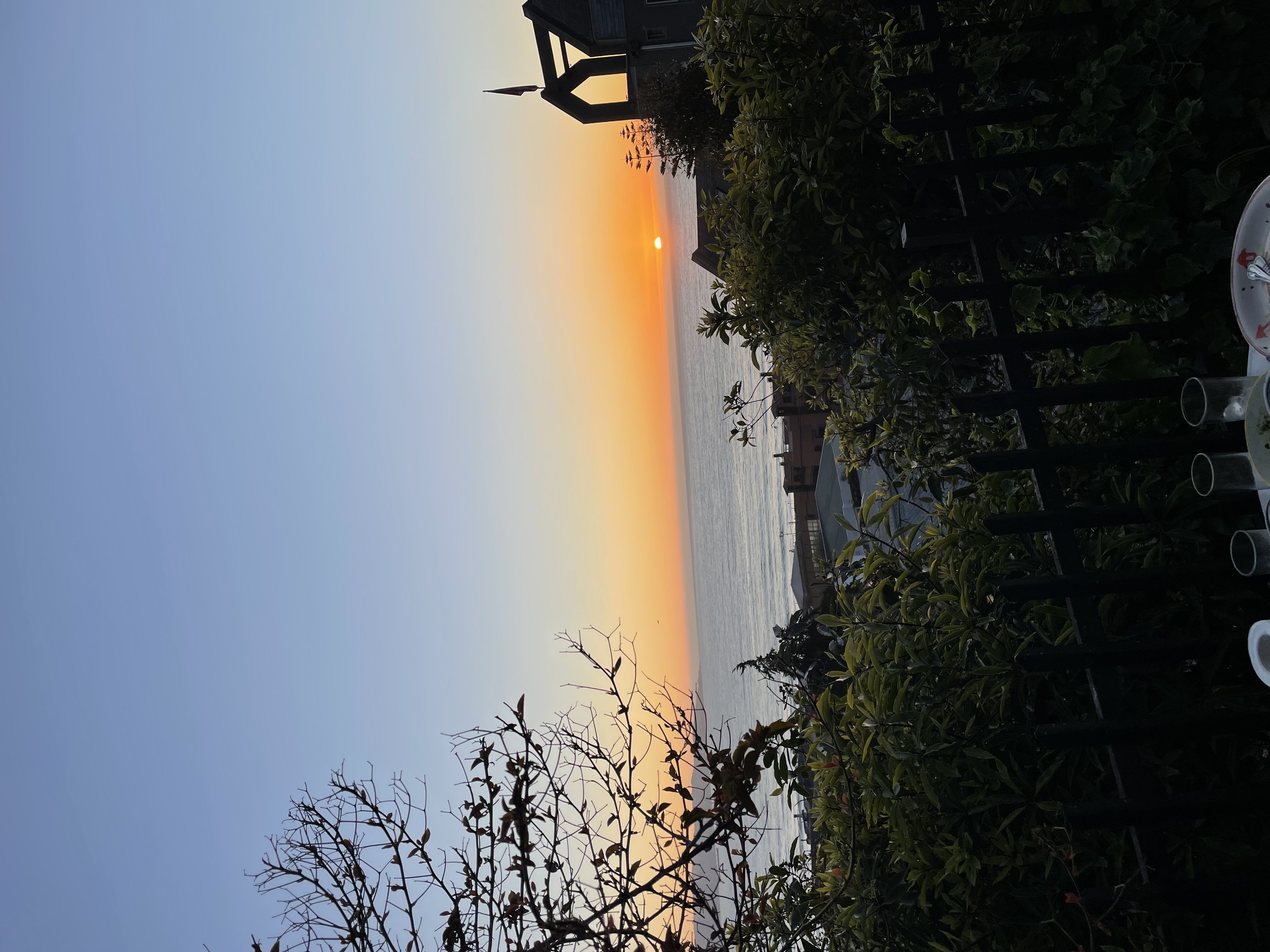 IMG_5739.jpeg