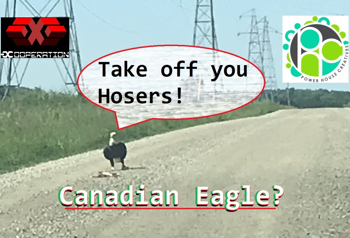 eagle.jpg