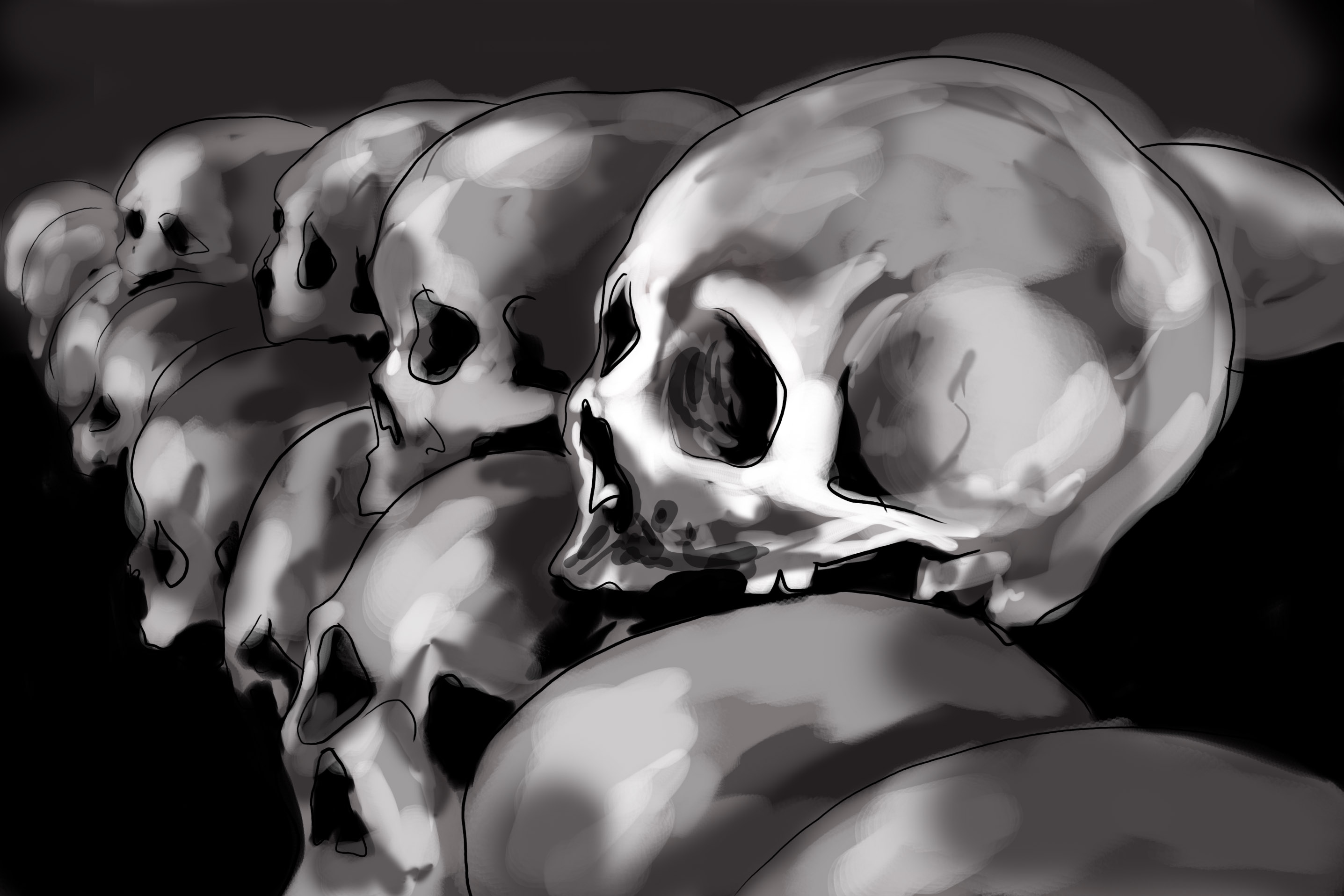 skulls 1sfd.jpg