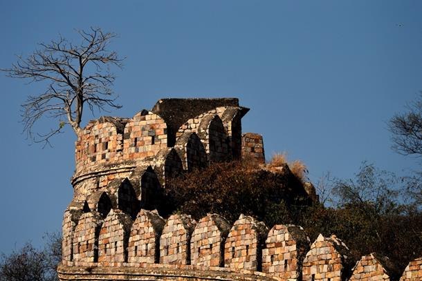 alwar-fort.jpg