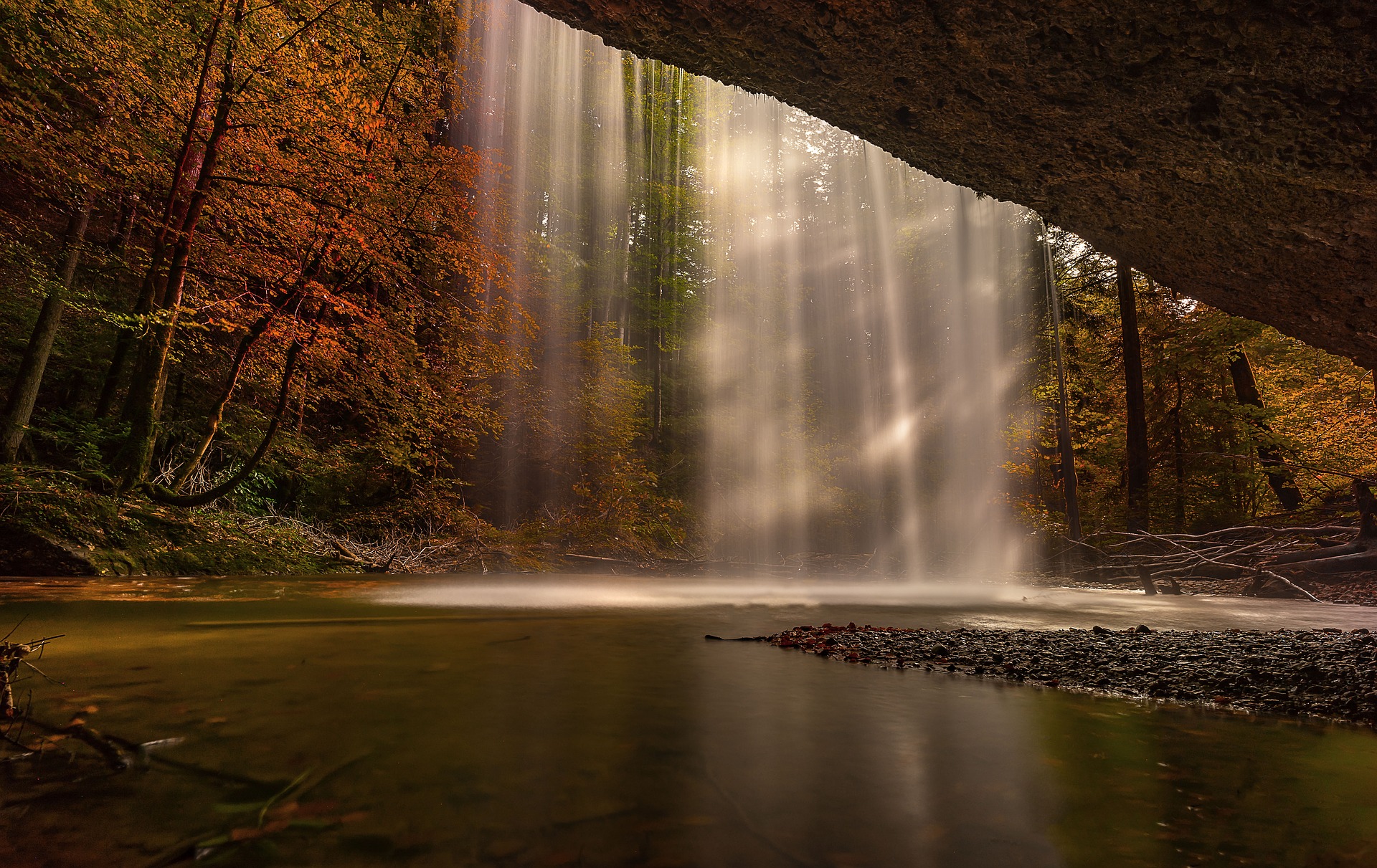 nature-3719233_1920.jpg