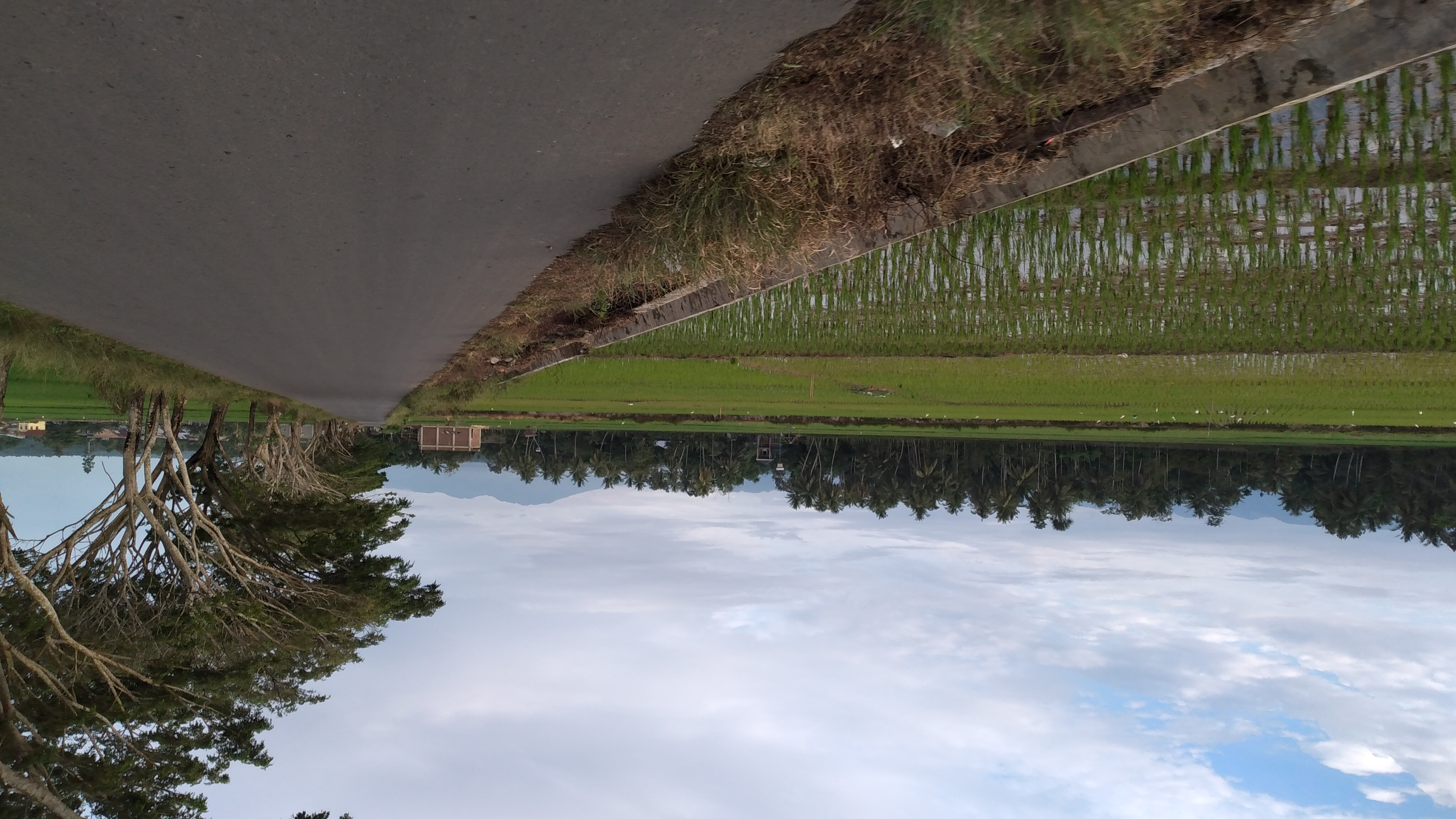 20220924_070544.jpg