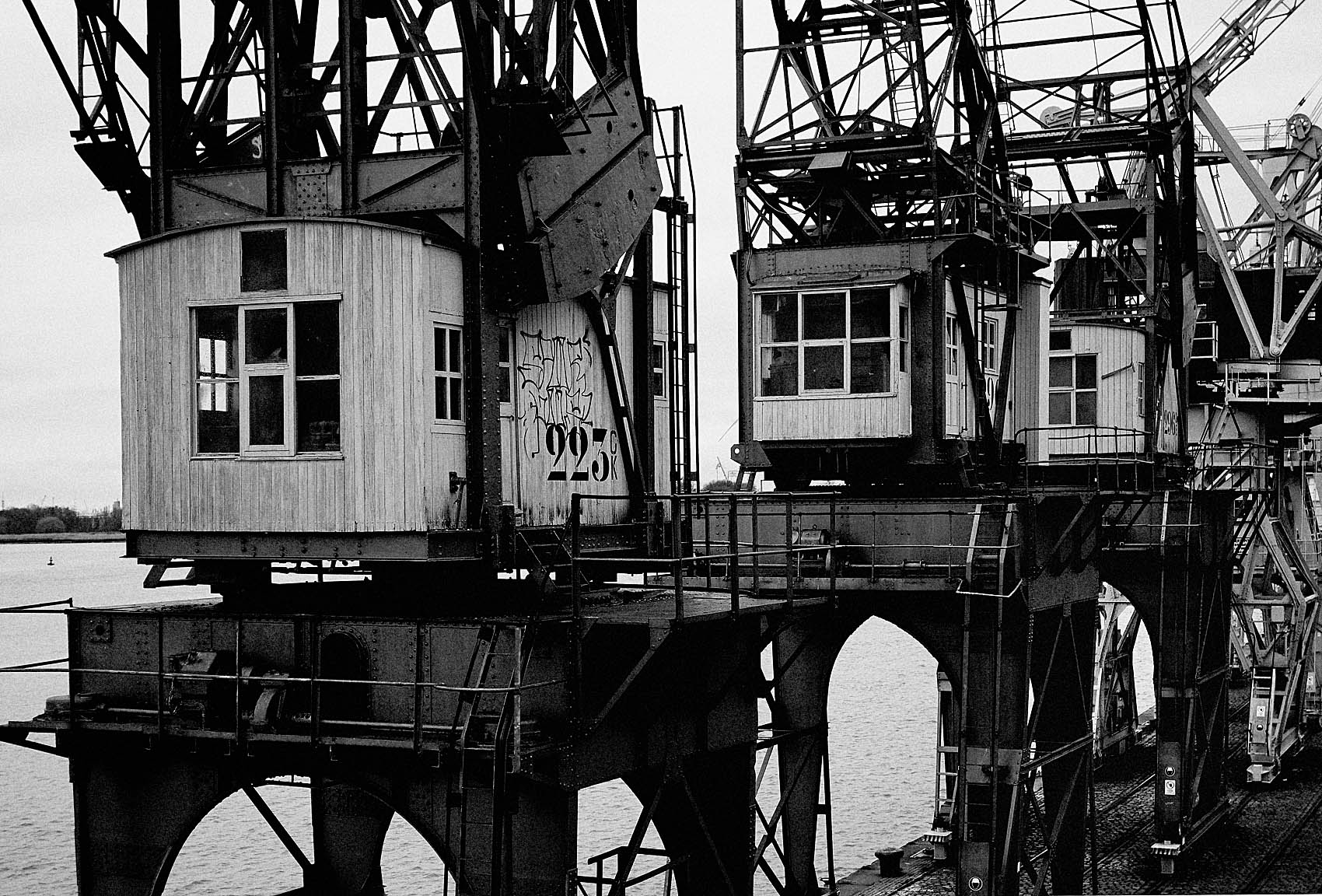 cranes1a.JPG