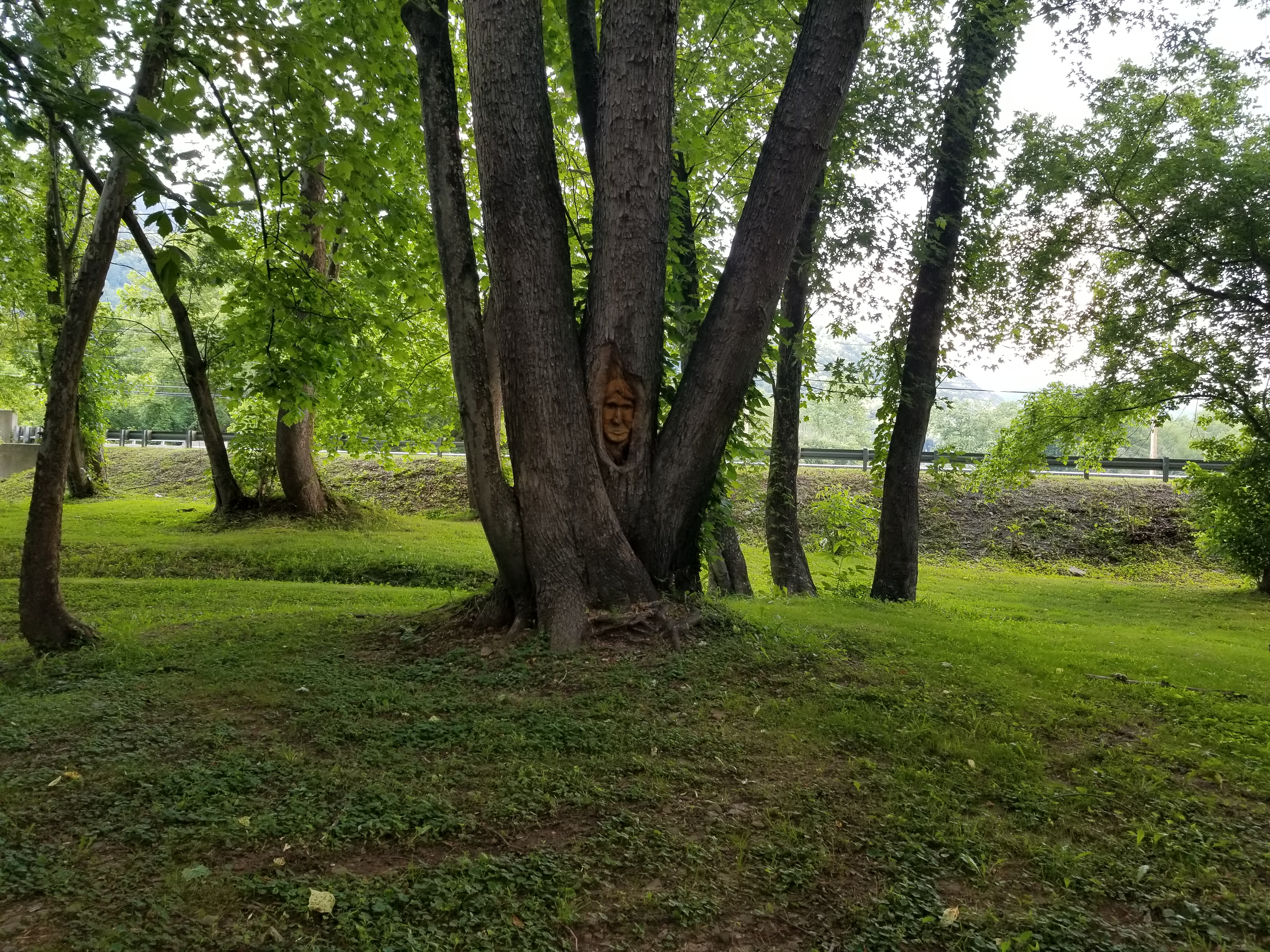 20180609_180045.jpg