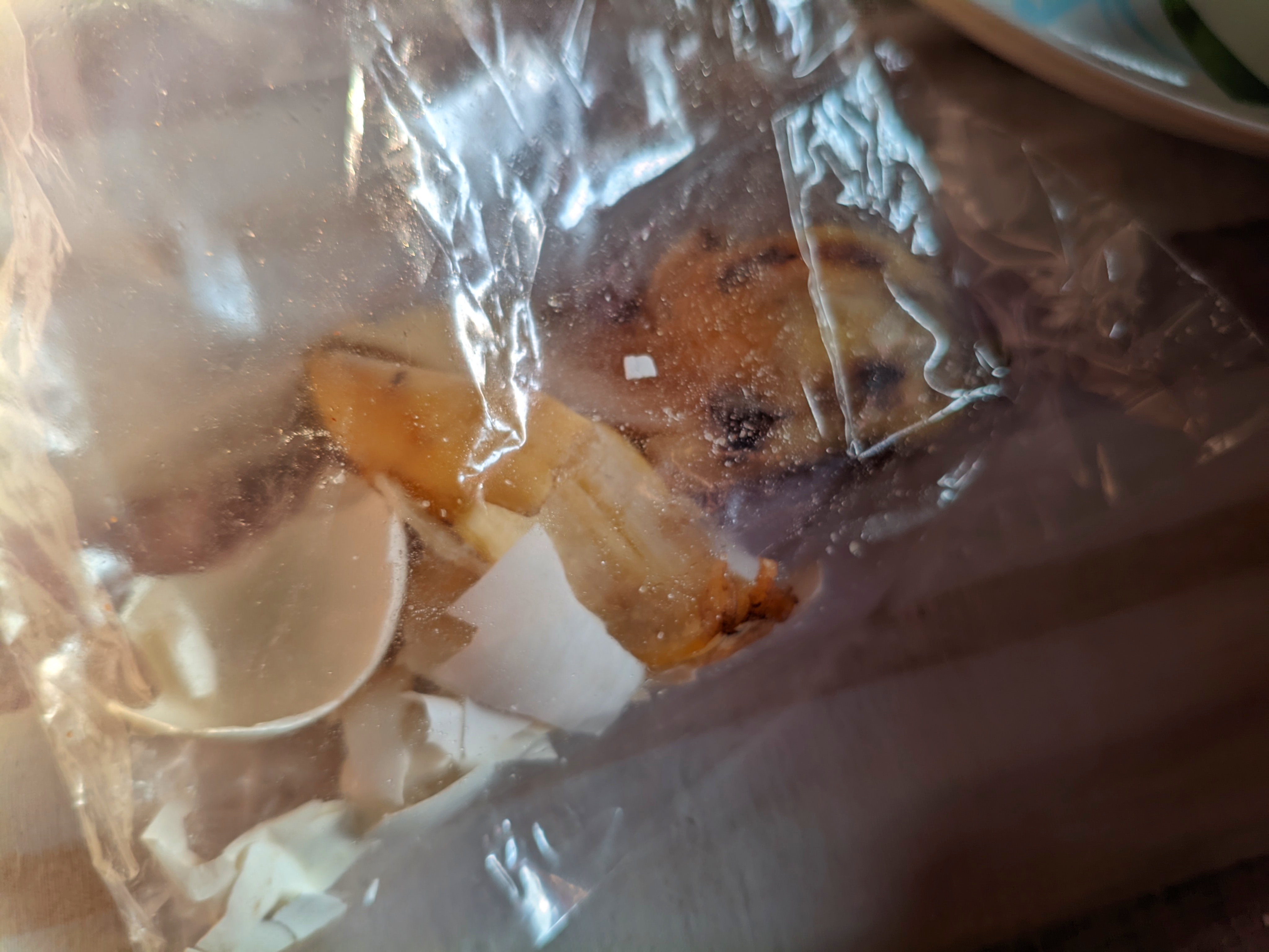 1000073961.jpg