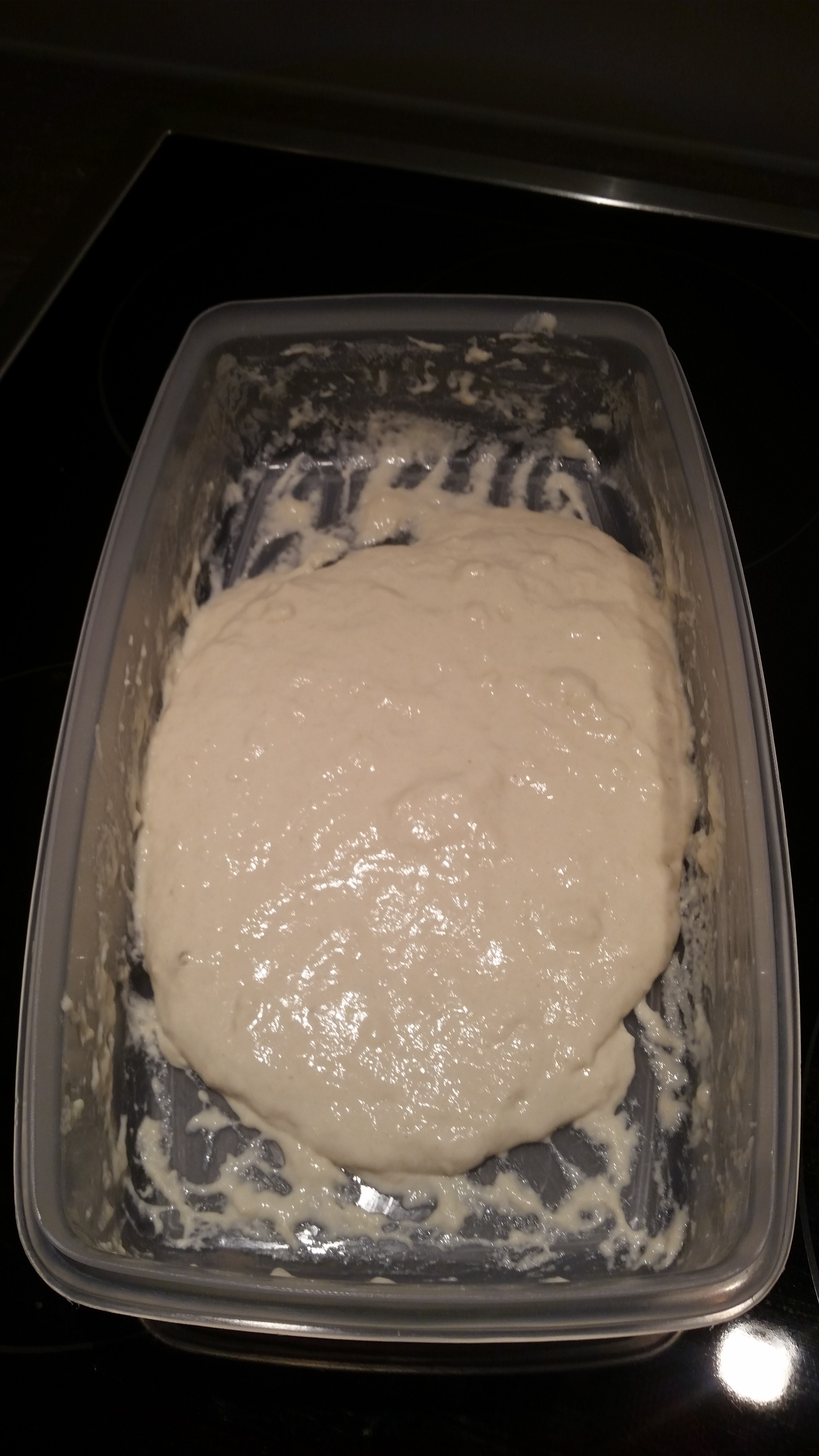 Poolish_pizza_dough.jpg