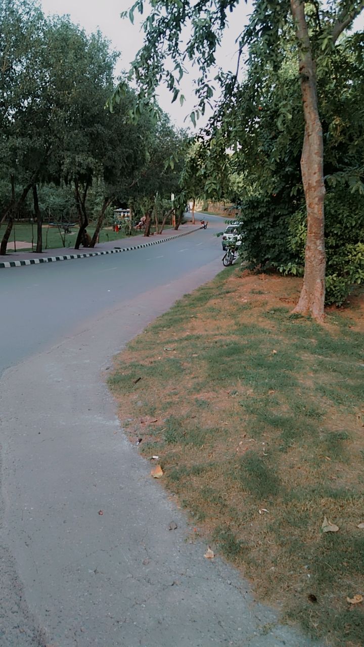 IMG-20260425-WA0011.jpg