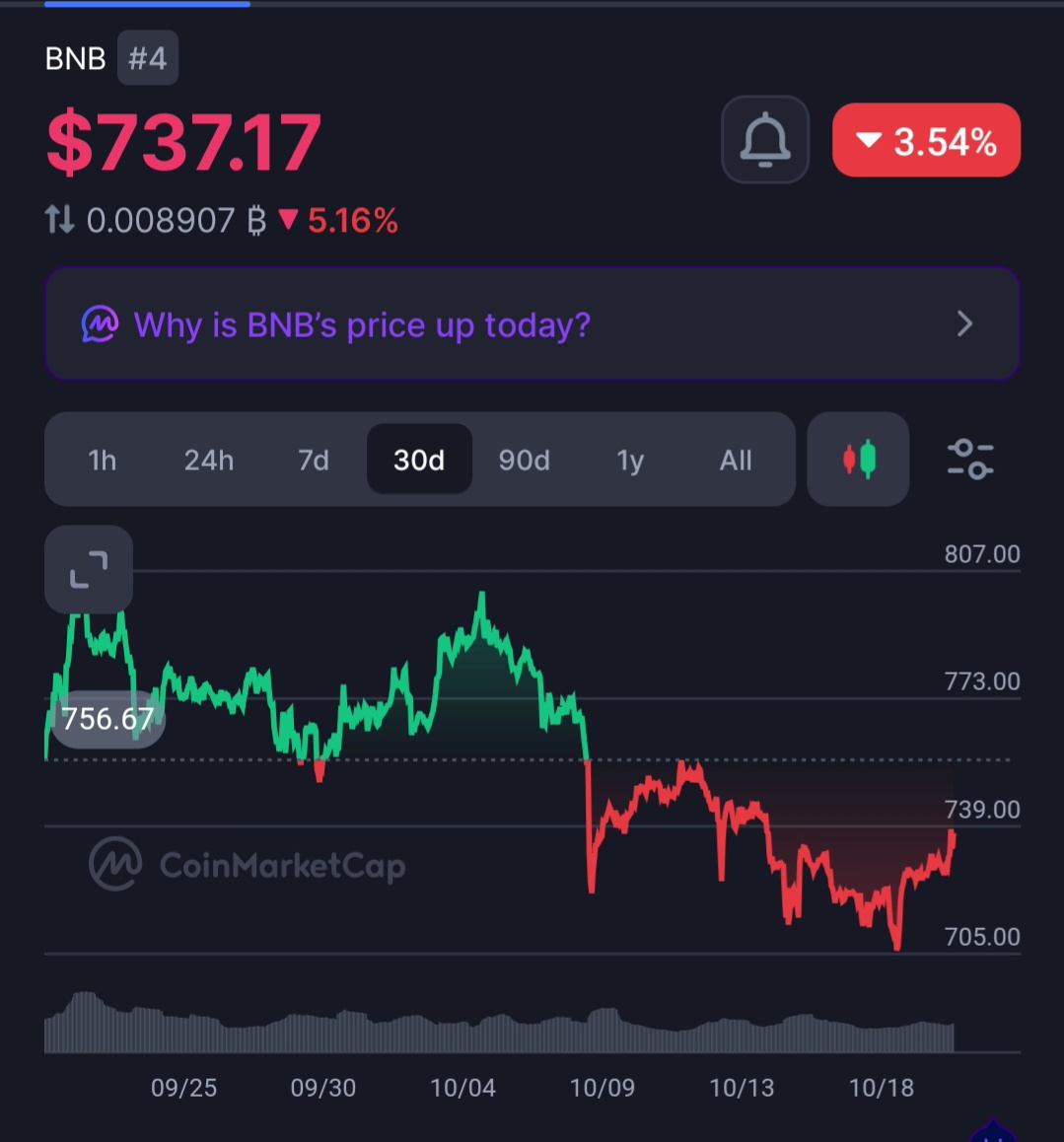 BNB price in last 30 days