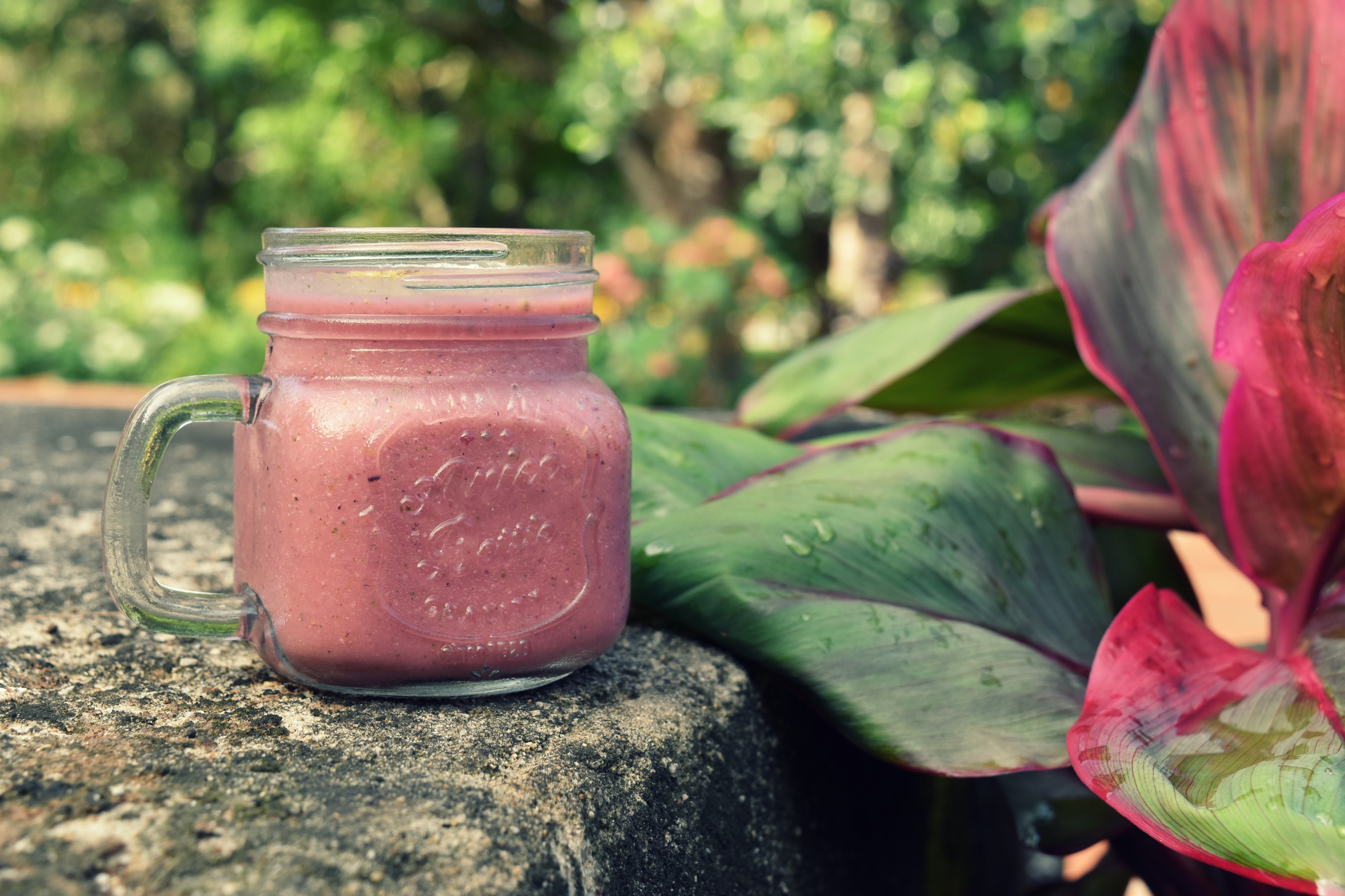 pink-dragon-smoothie-4.jpg
