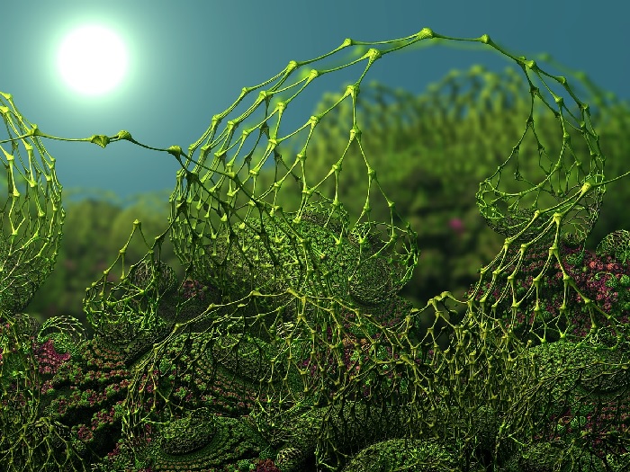 fractal.jpg