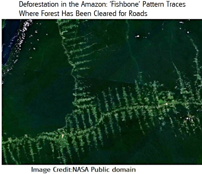 Amazonie deforestation3 NASA public.jpg