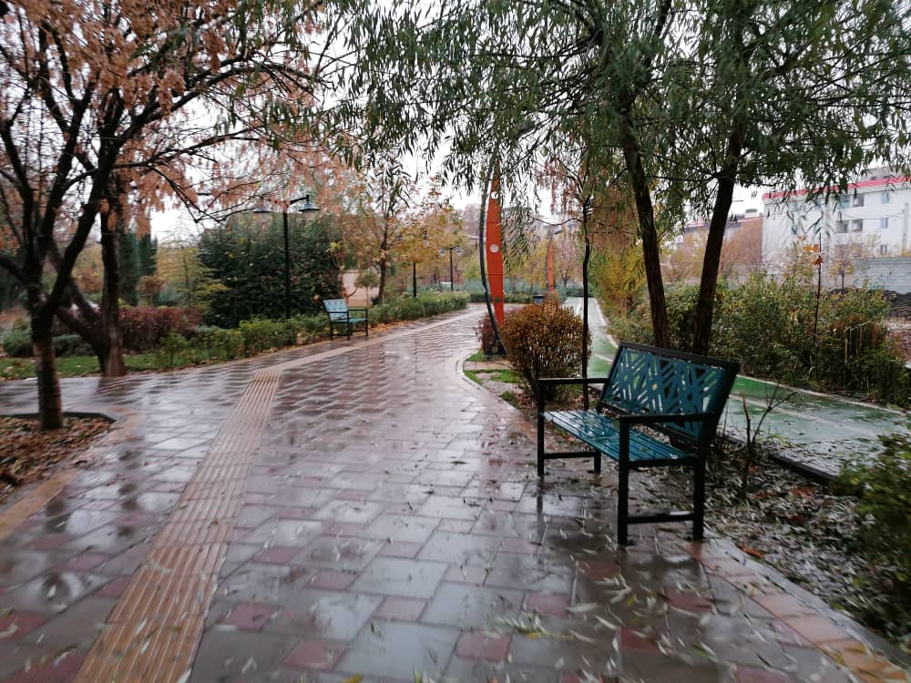 parkpicture56 (8).jpeg