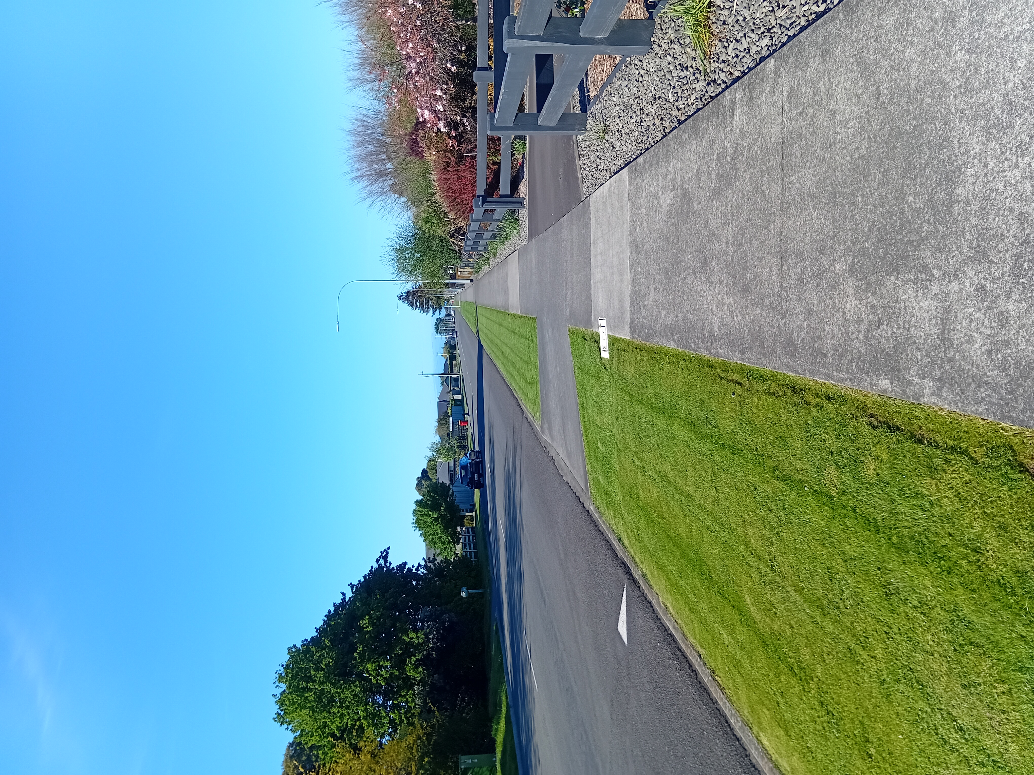 20251017_085629.jpg