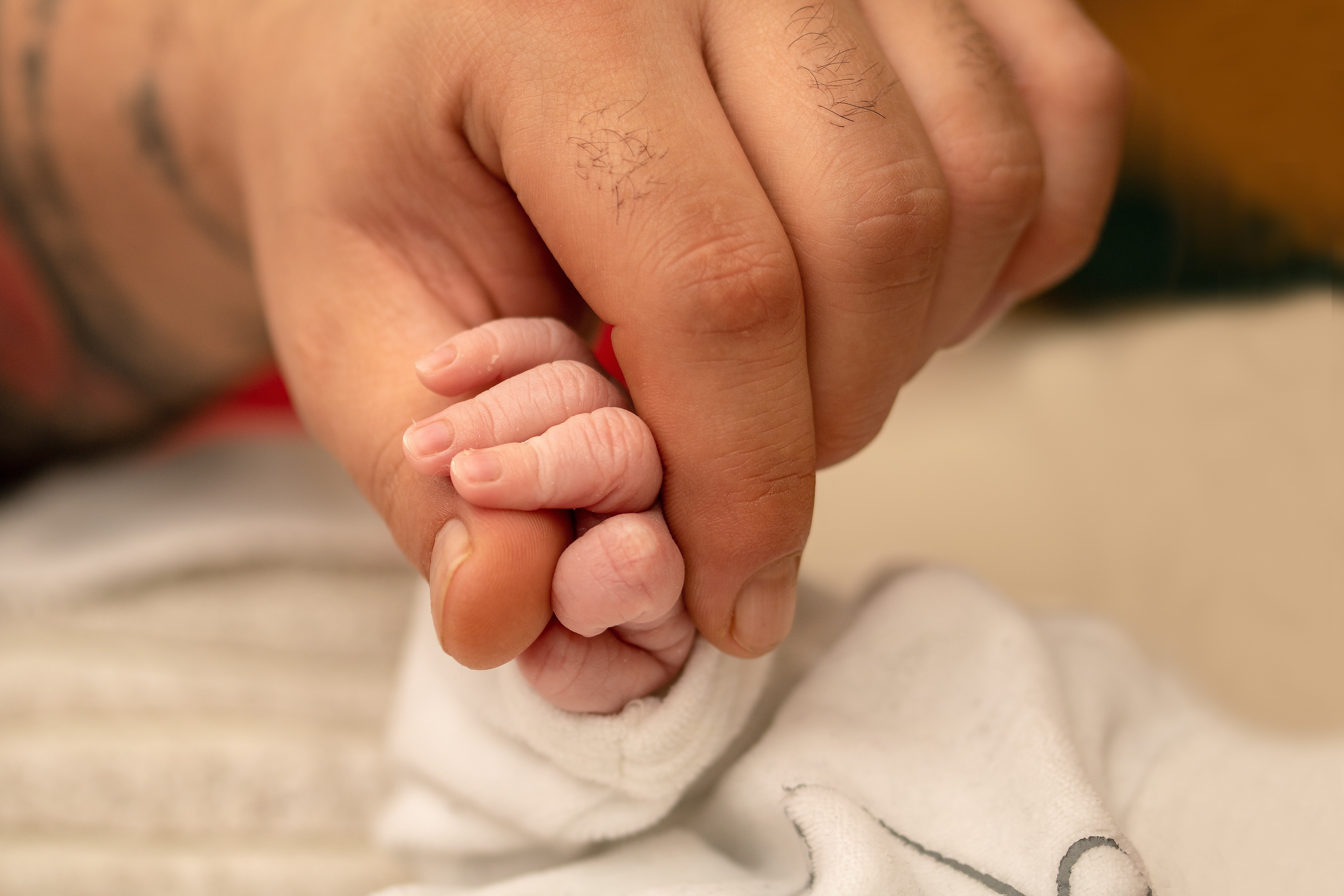 myriams-fotos-babys-hand-3771123.jpg