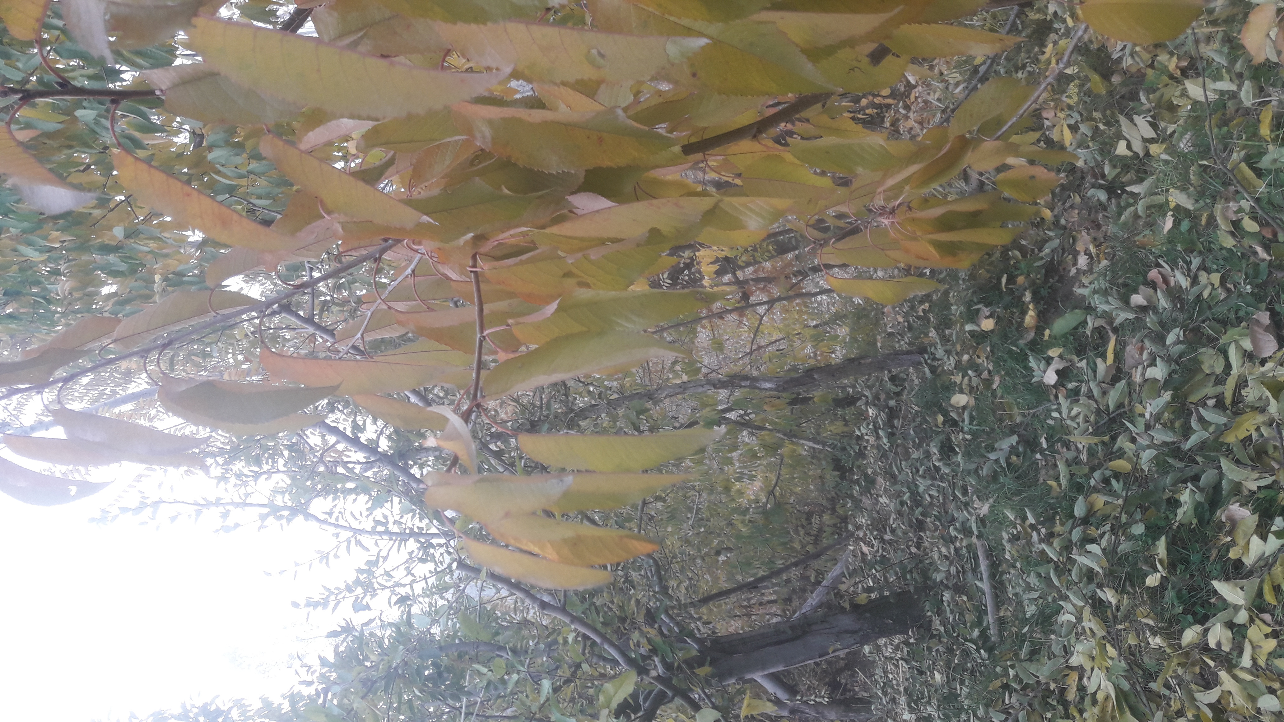 20201111_162920.jpg
