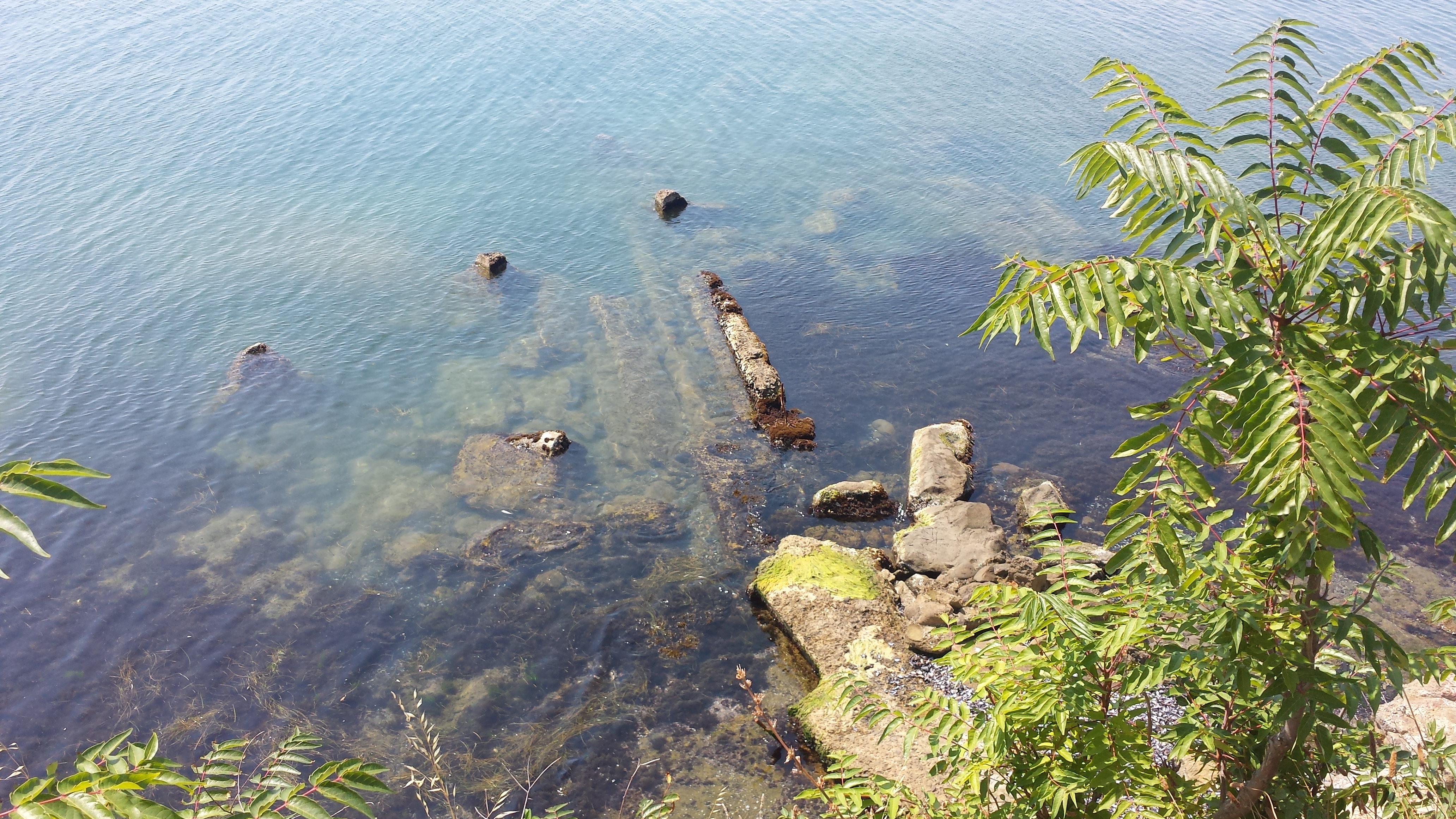 20190806_142827.jpg