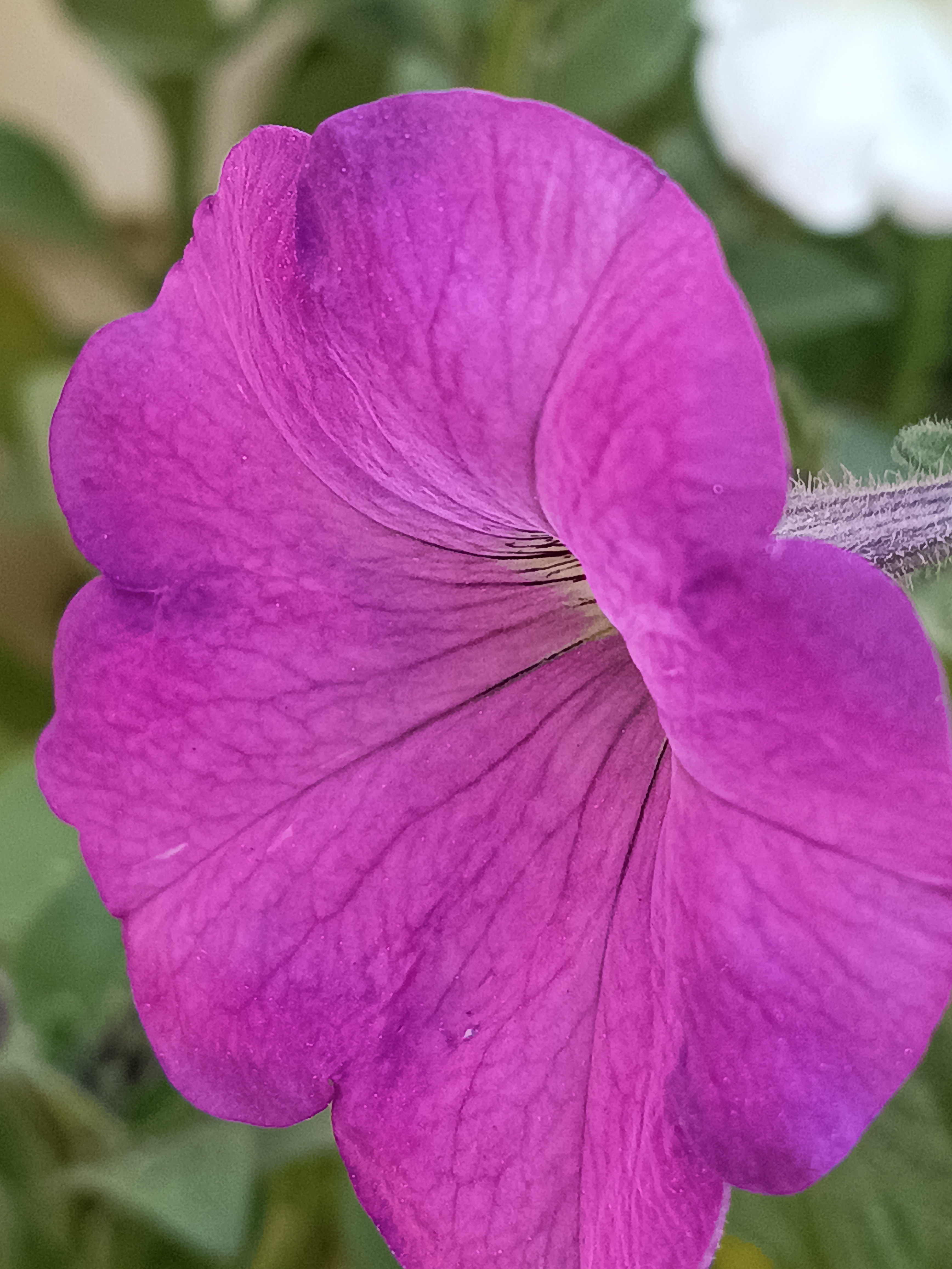 IMG_20230214_120116.jpg