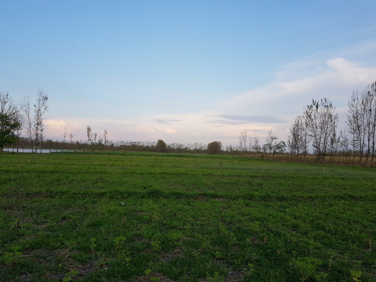 farm photos (5).jpeg