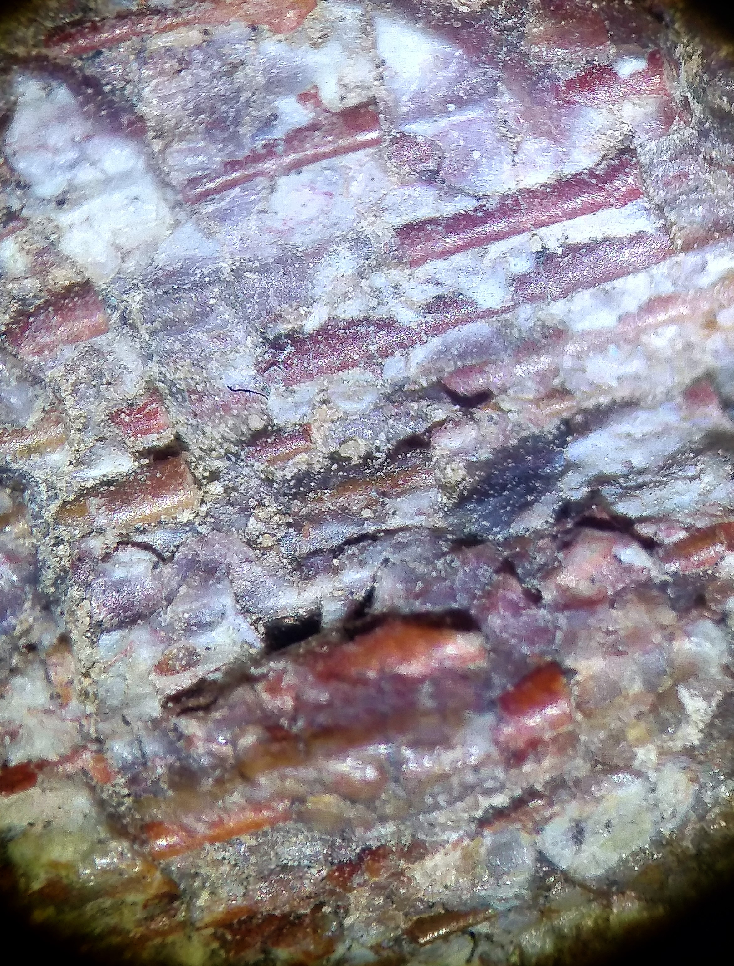 20180915_140022_HDR (2).jpg