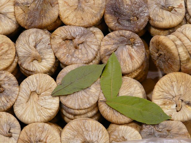 figs-73763__480.jpg