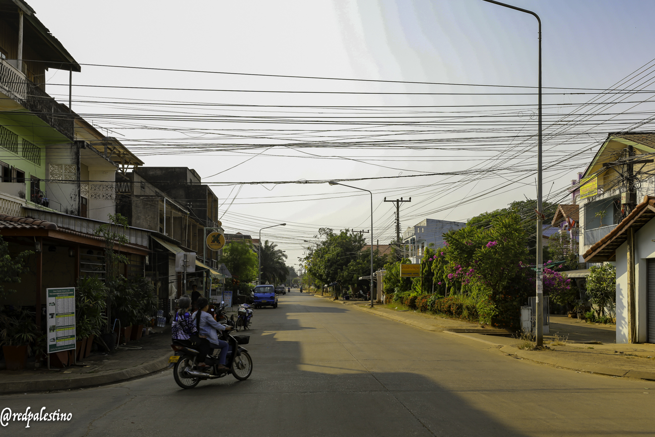 1C5A8981.jpg