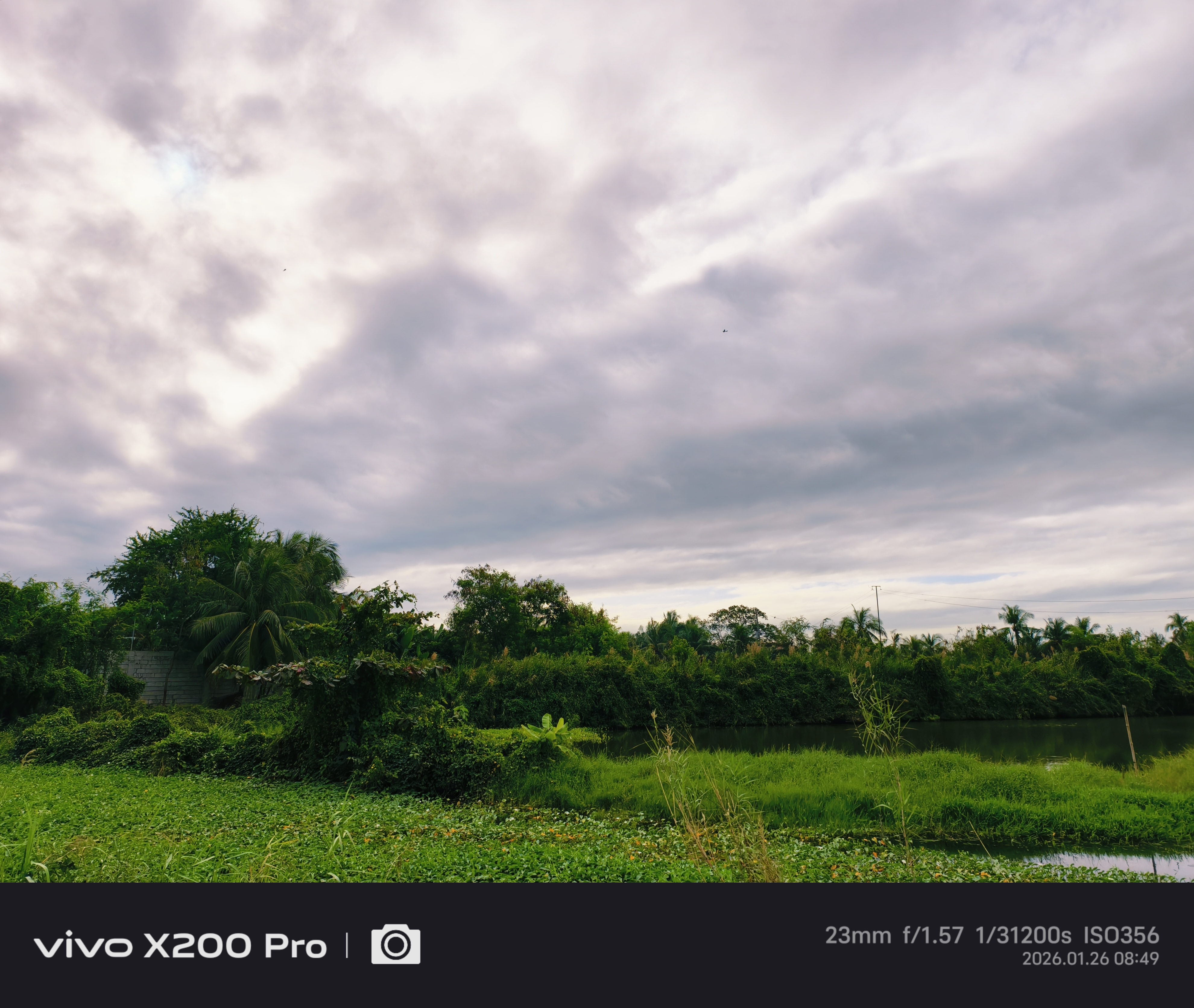 IMG_20260126_093735.jpg