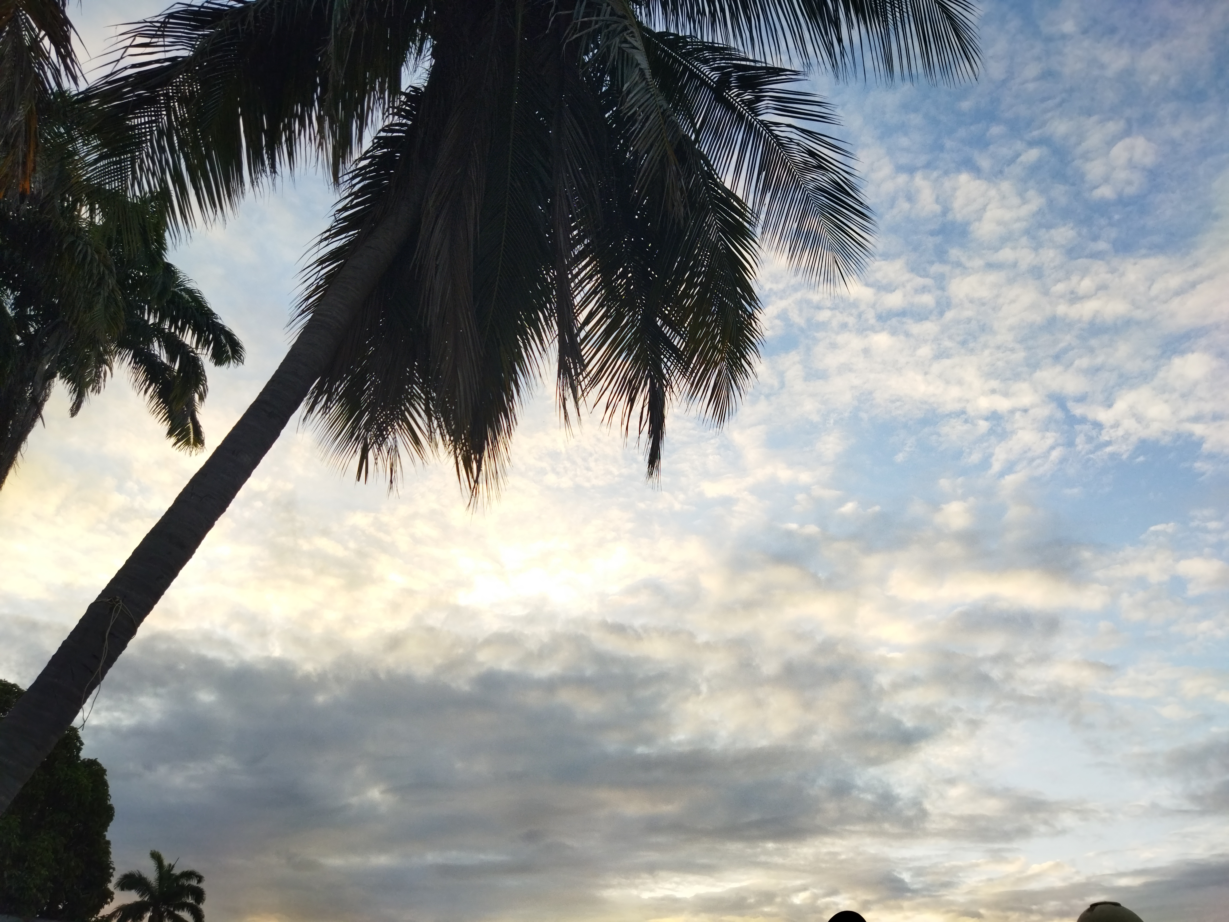 IMG_20211229_174807.jpg