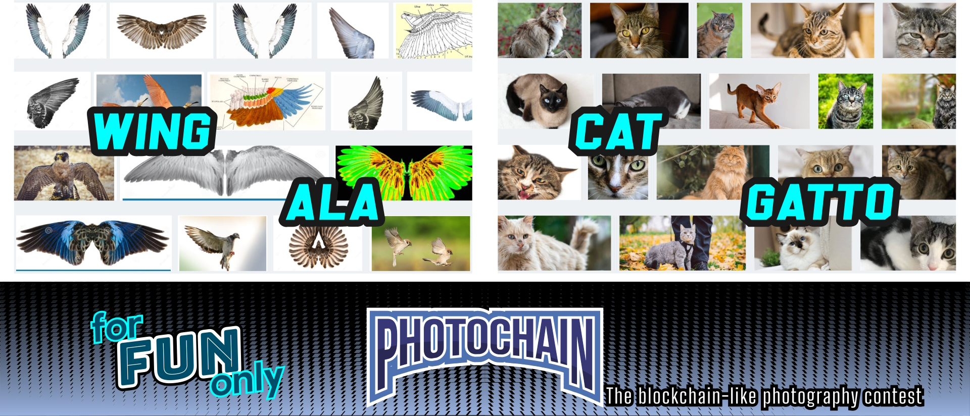 key-subjects example_STEEM.jpg