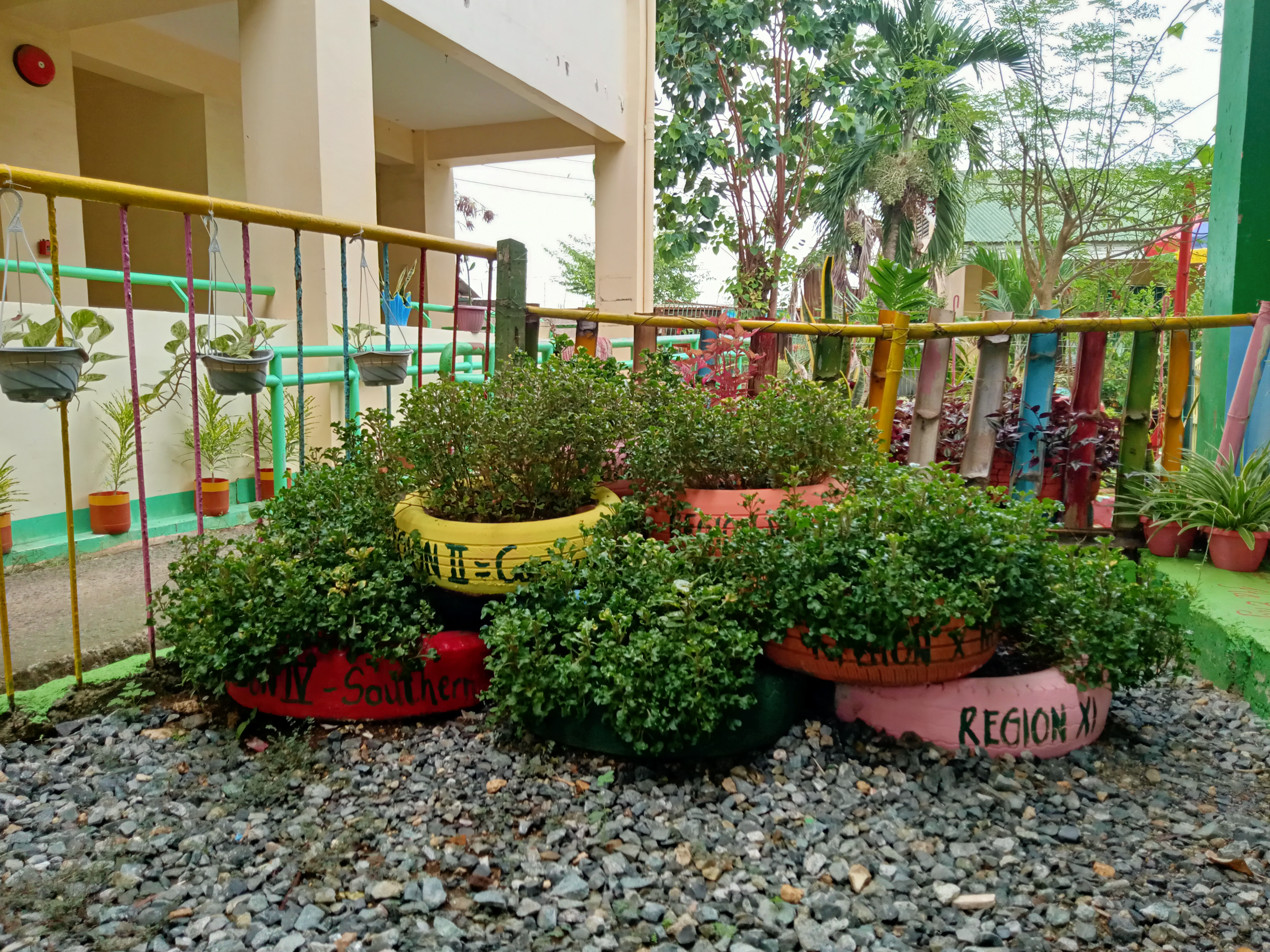 IMG20210624084417.jpg