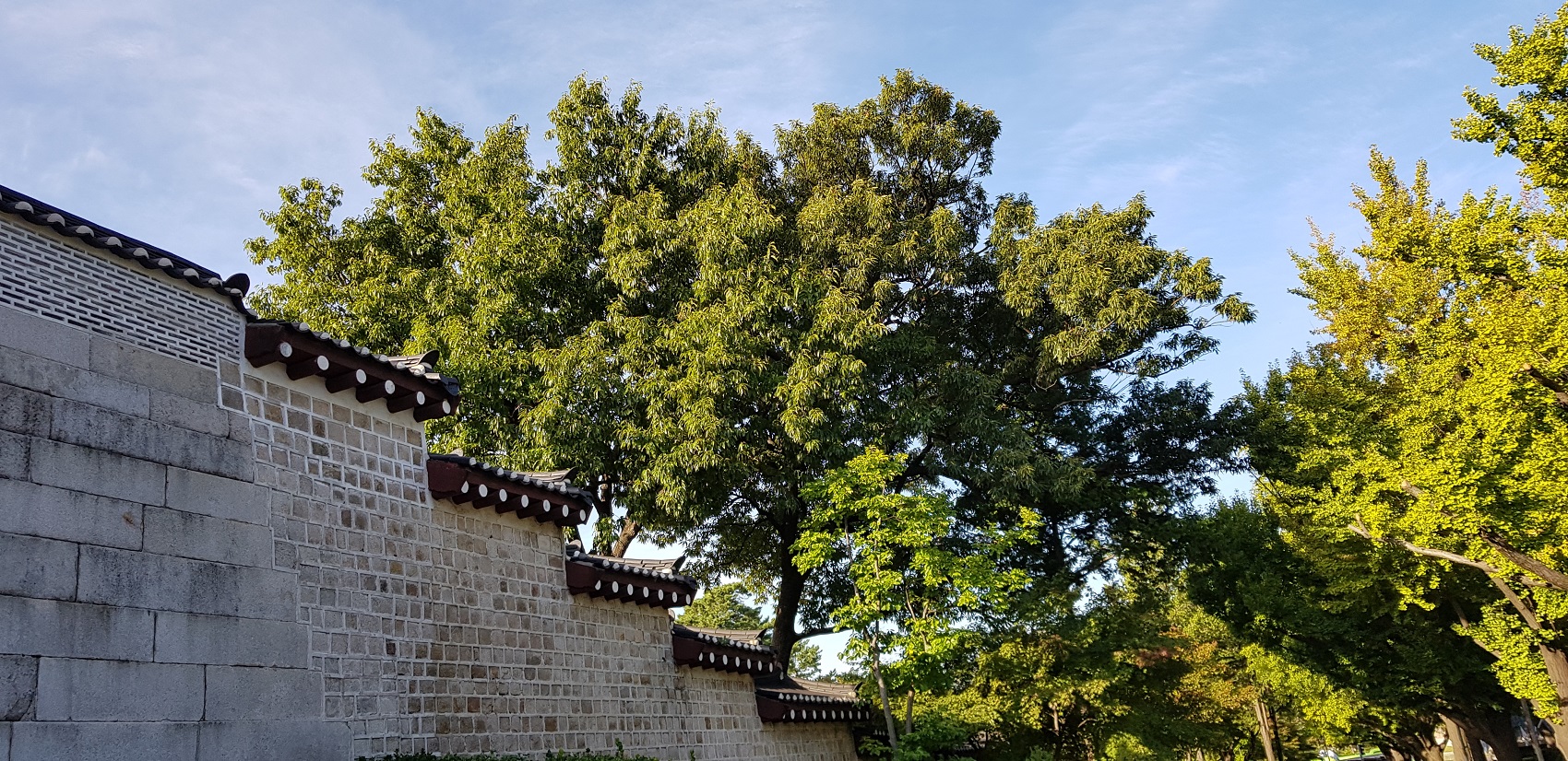 20181008_082911.jpg